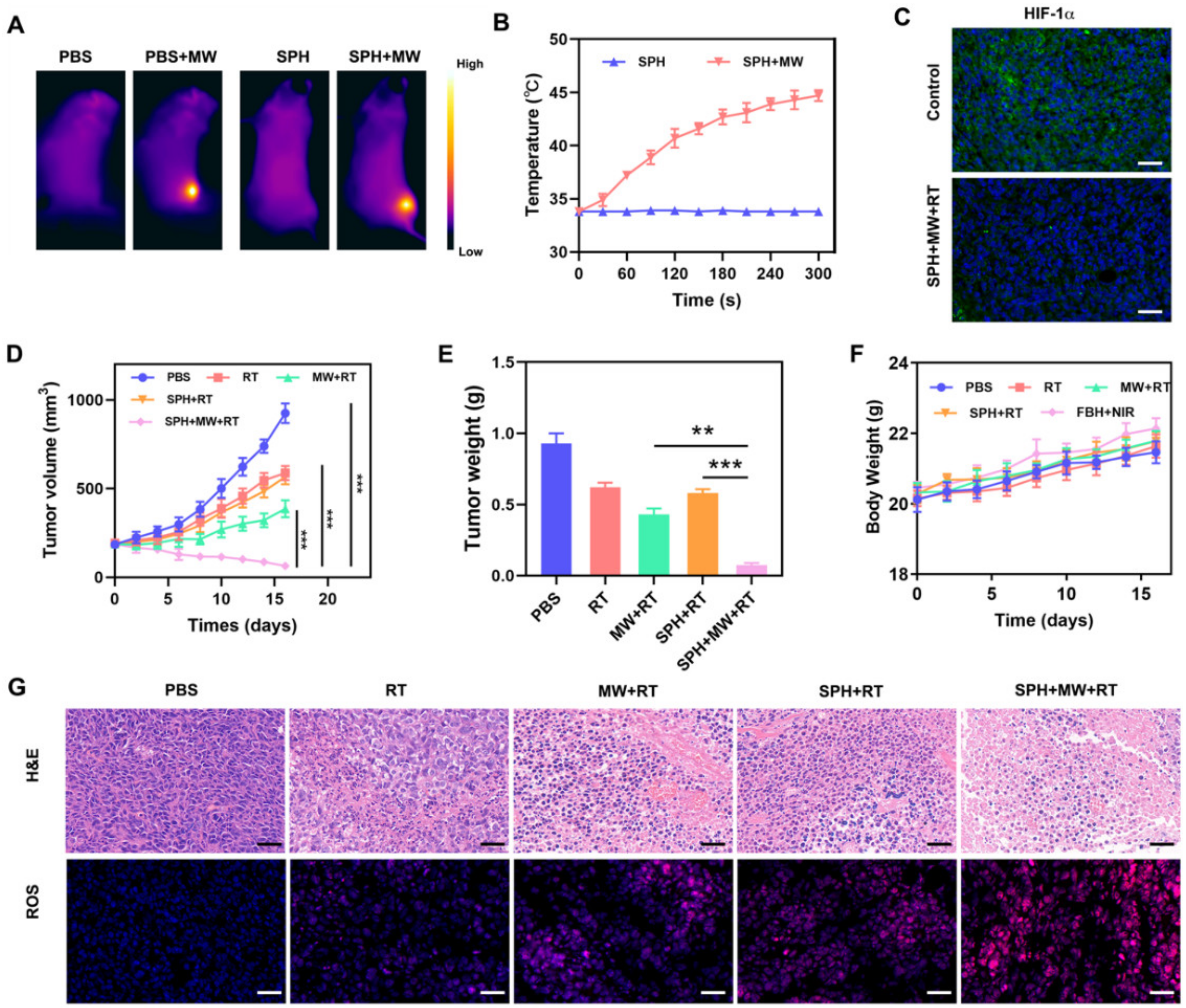 Pharmaceutics 15 00487 g004