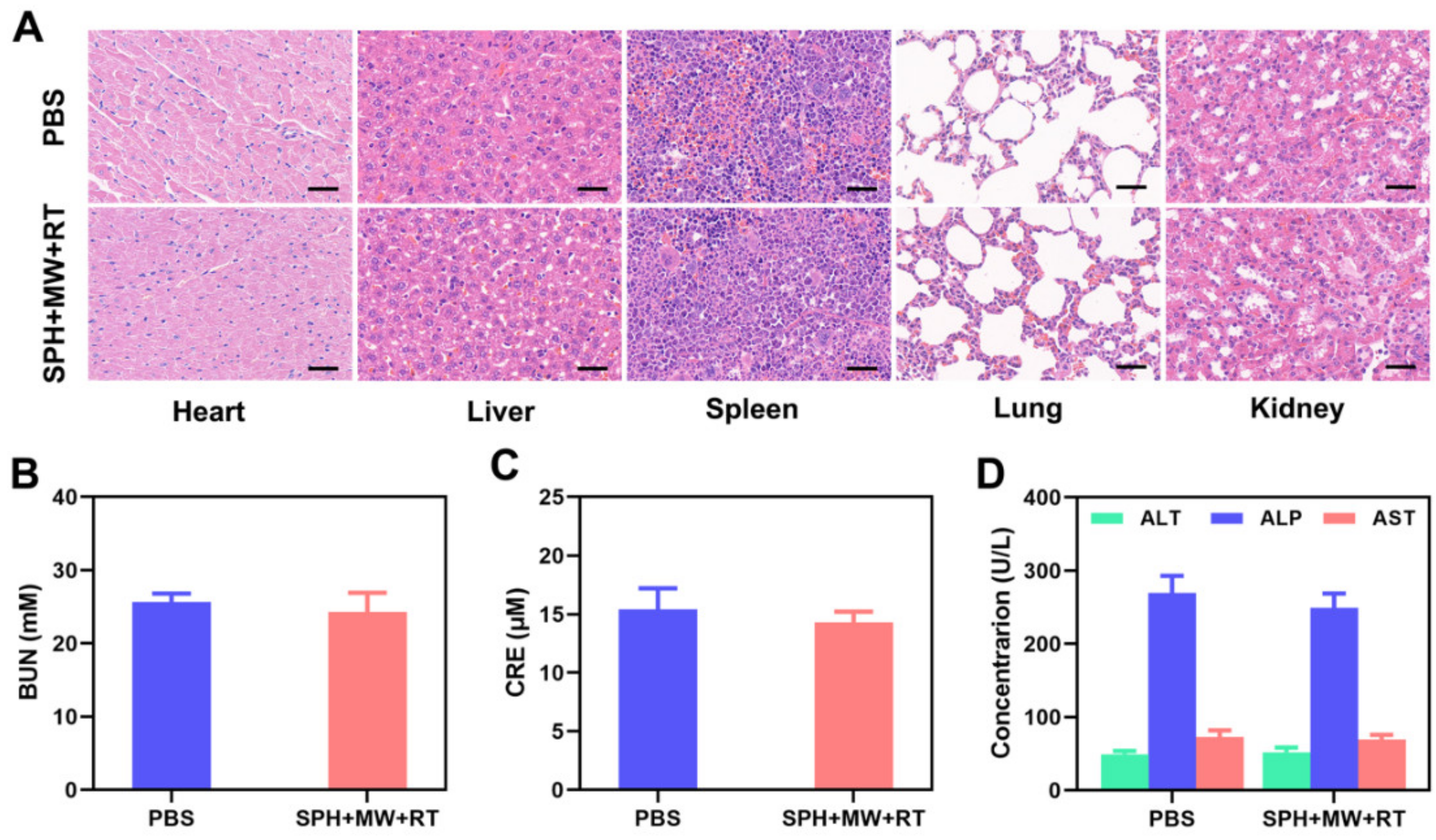 Pharmaceutics 15 00487 g005