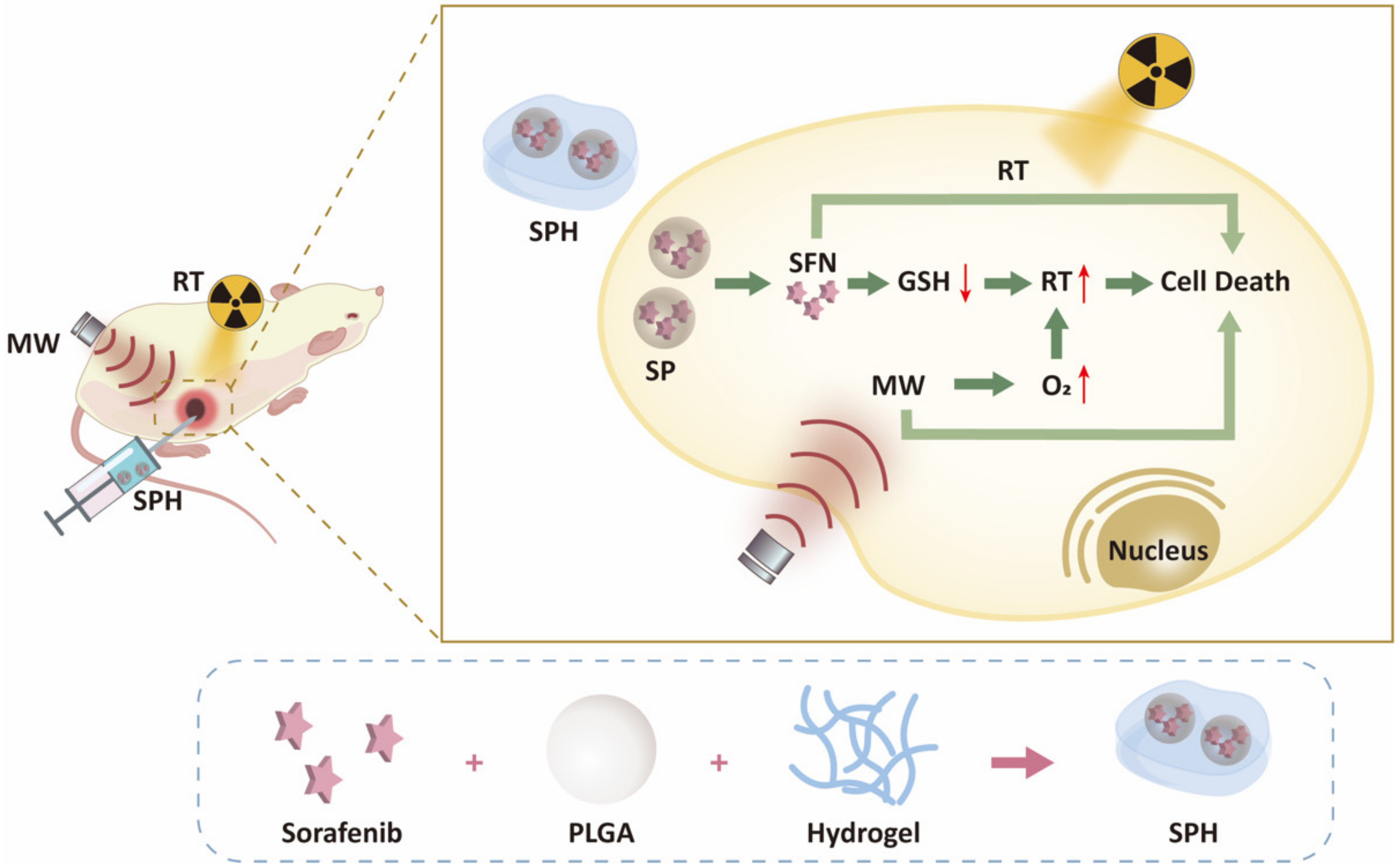 Pharmaceutics 15 00487 sch001