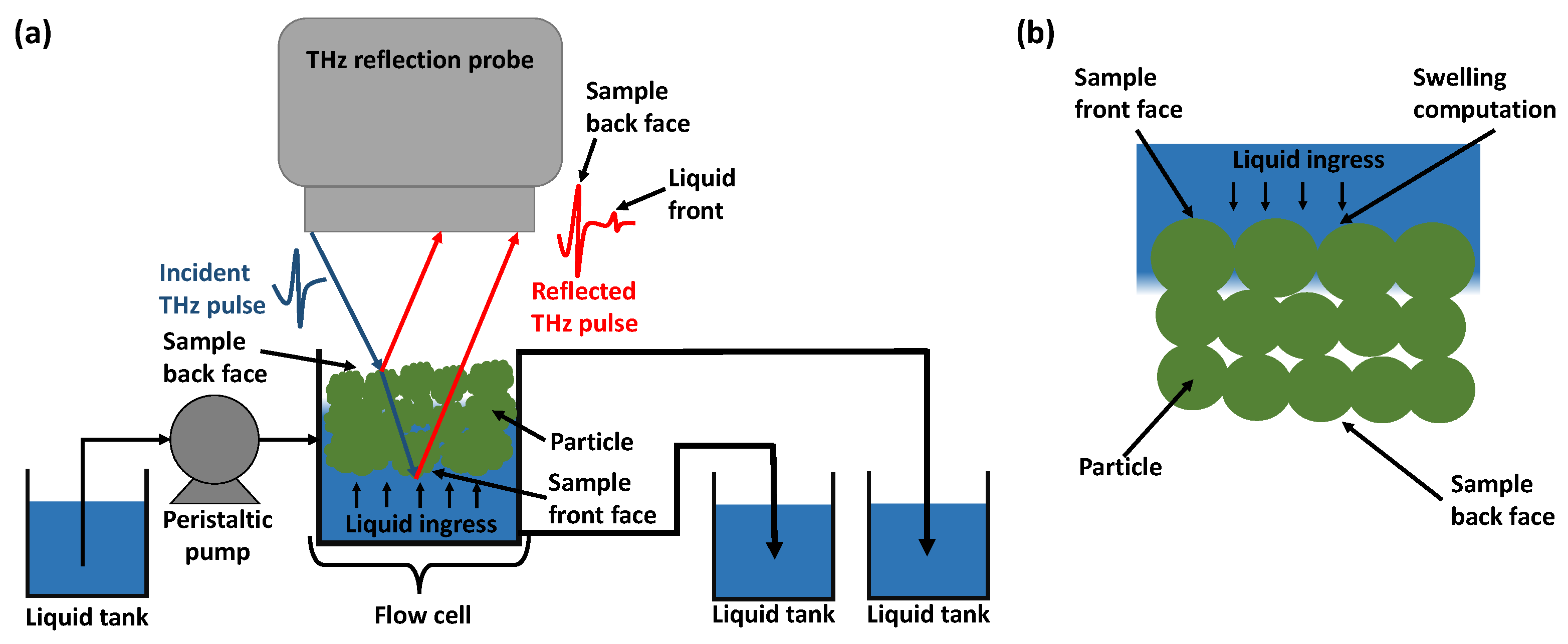 Pharmaceutics 15 00489 g001