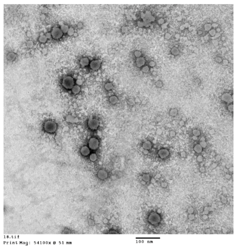 Pharmaceutics 15 00490 g006