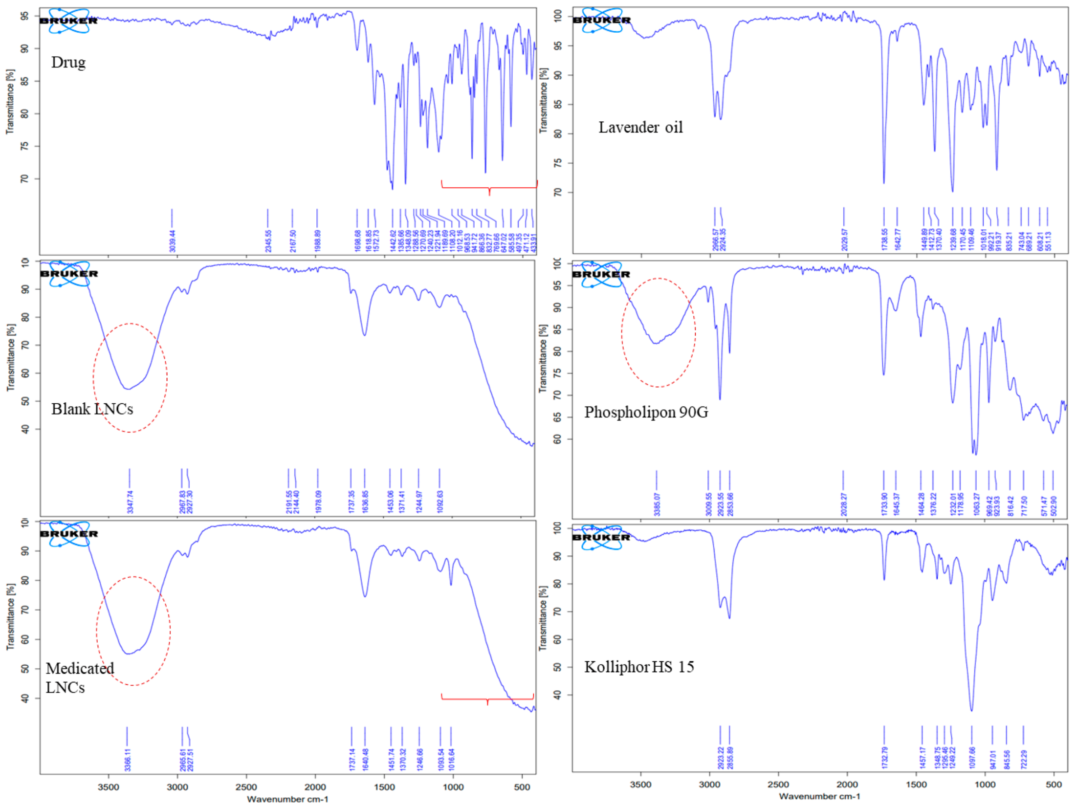 Pharmaceutics 15 00490 g007