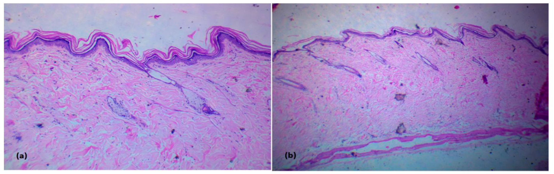 Pharmaceutics 15 00490 g010
