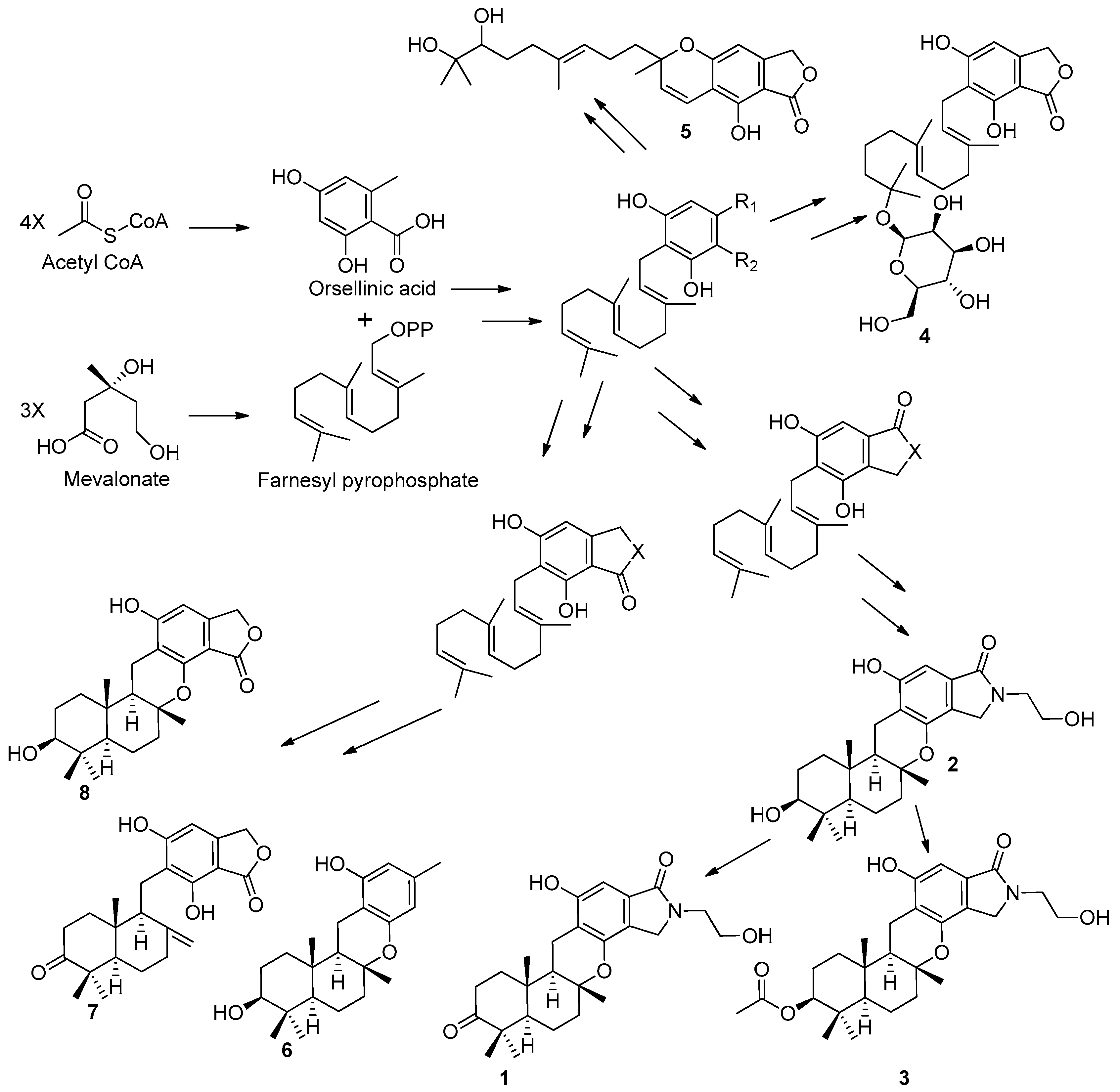 Pharmaceutics 15 00492 sch001