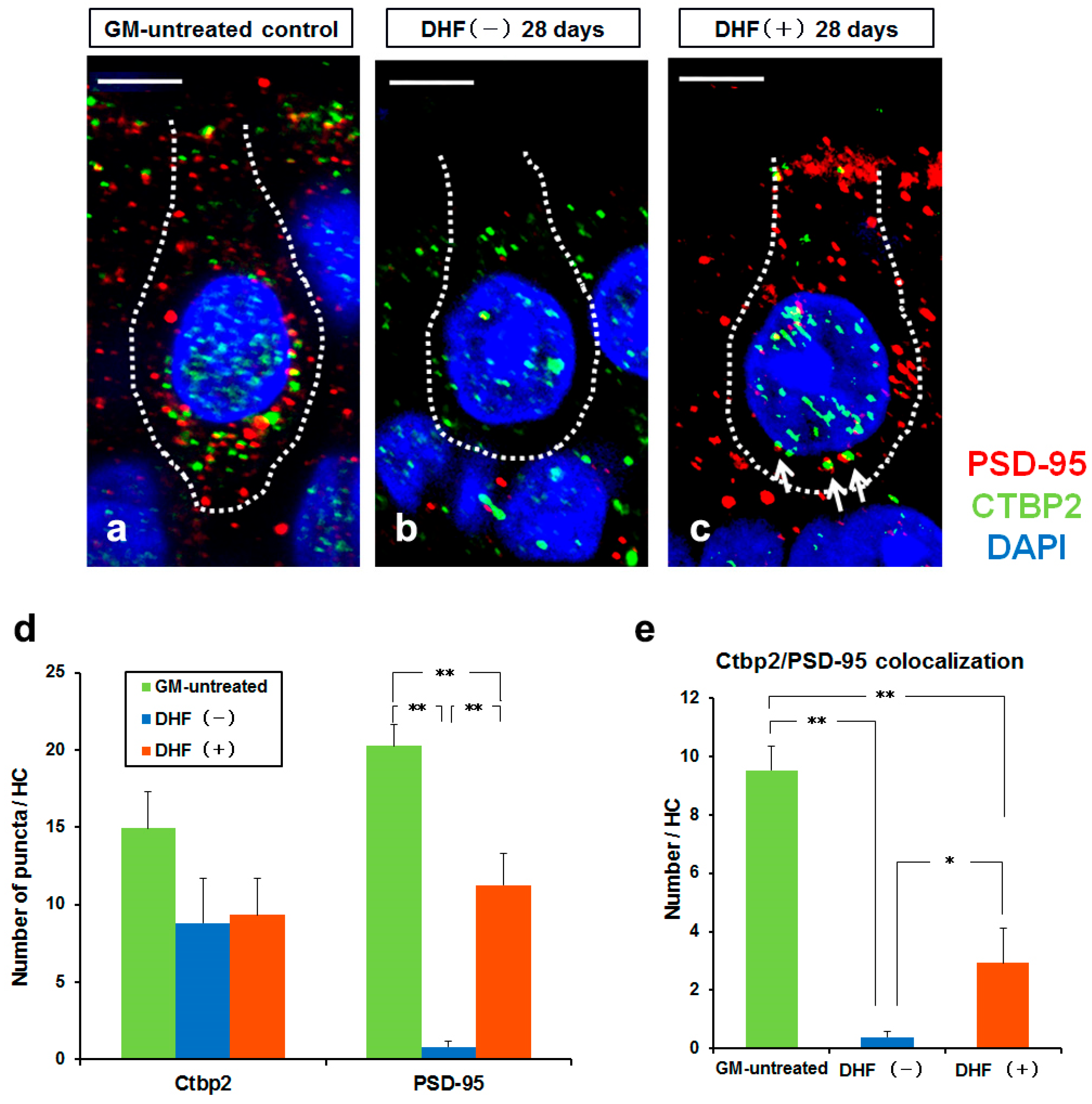Pharmaceutics 15 00493 g005