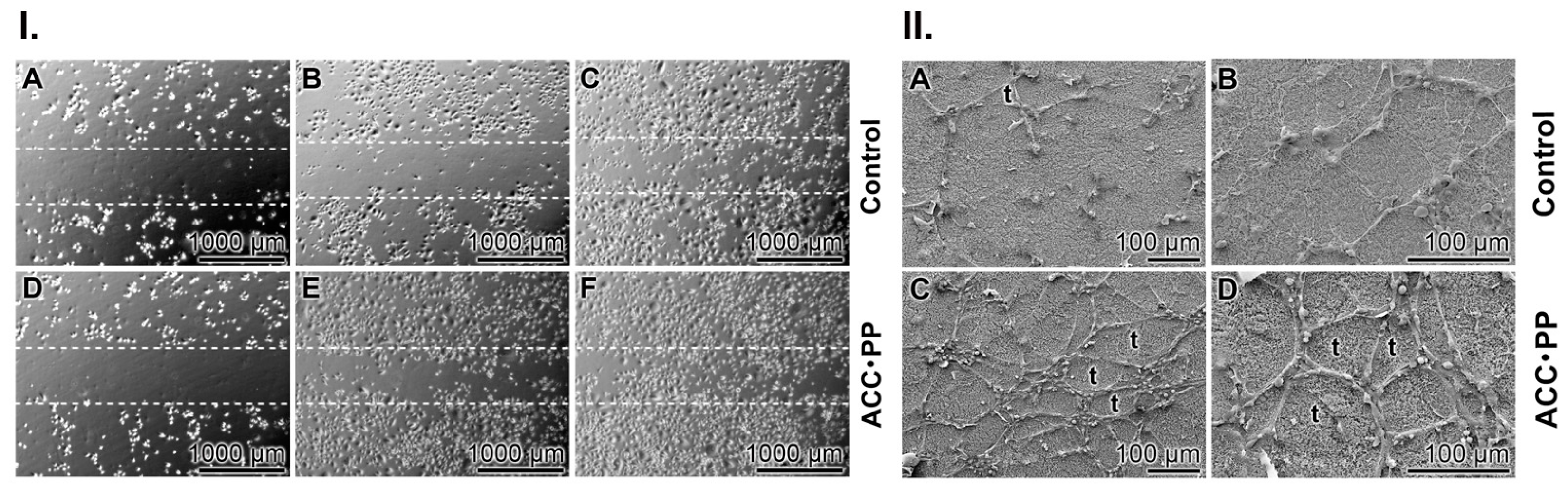 Pharmaceutics 15 00494 g002 Pharmaceutics 15 00494 g002