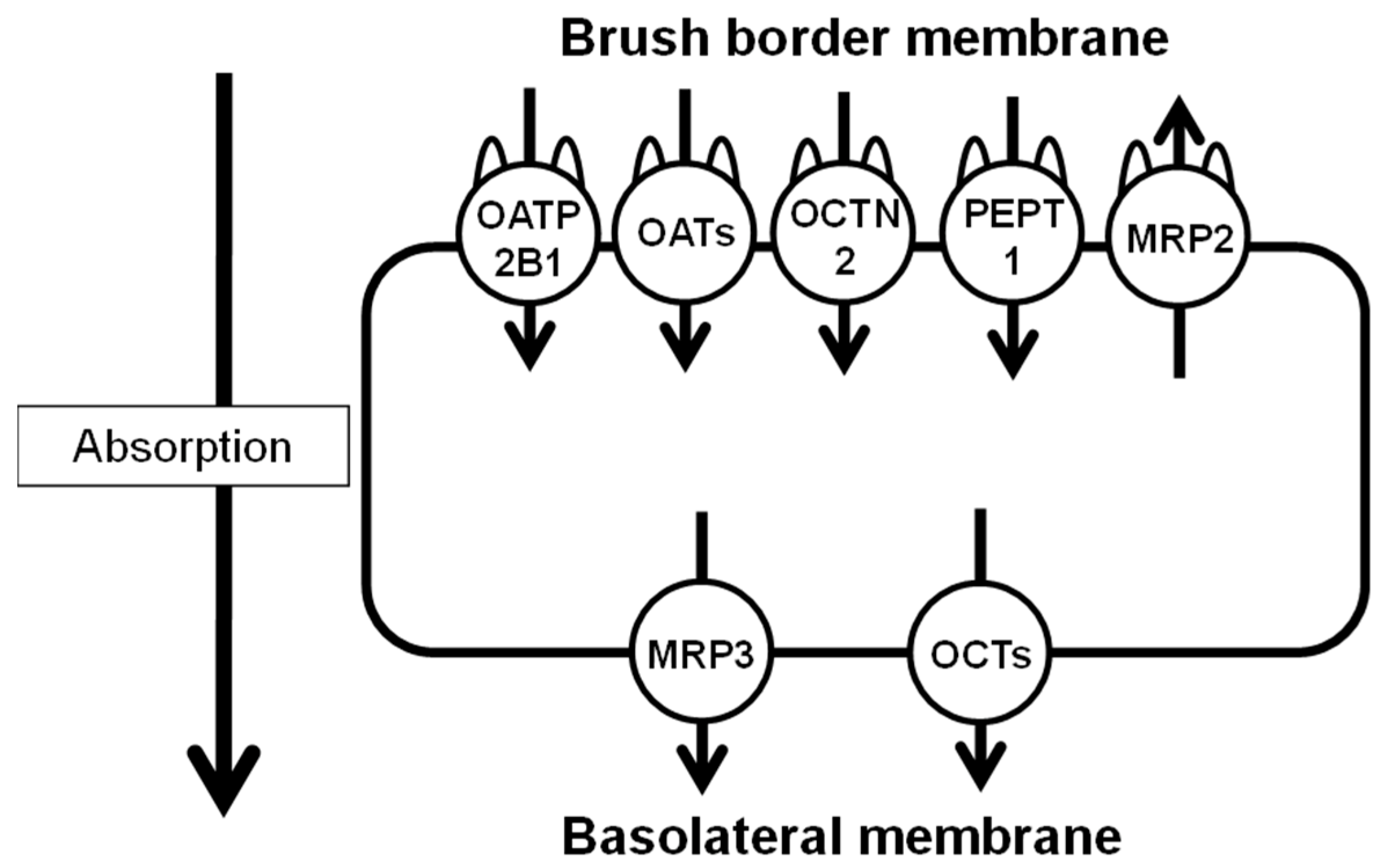 Pharmaceutics 15 00497 g001 Pharmaceutics 15 00497 g001