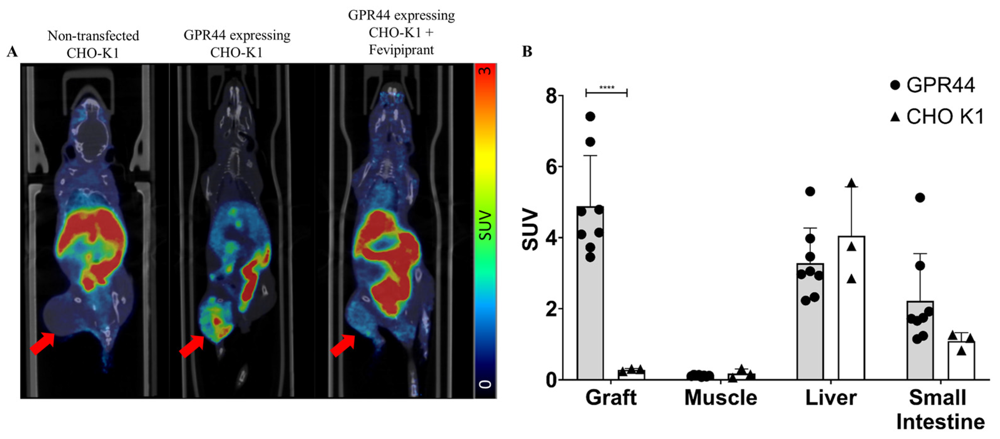 Pharmaceutics 15 00499 g009