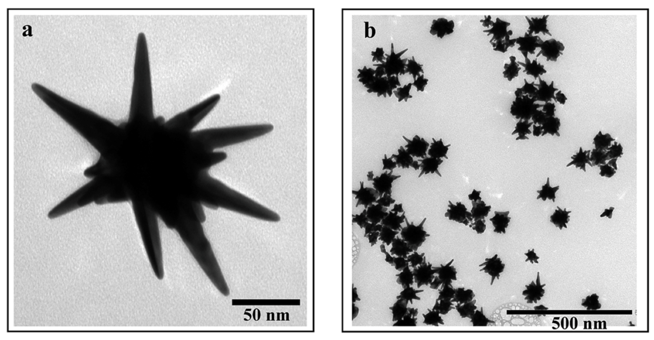 Pharmaceutics 15 00500 g006 Pharmaceutics 15 00500 g006