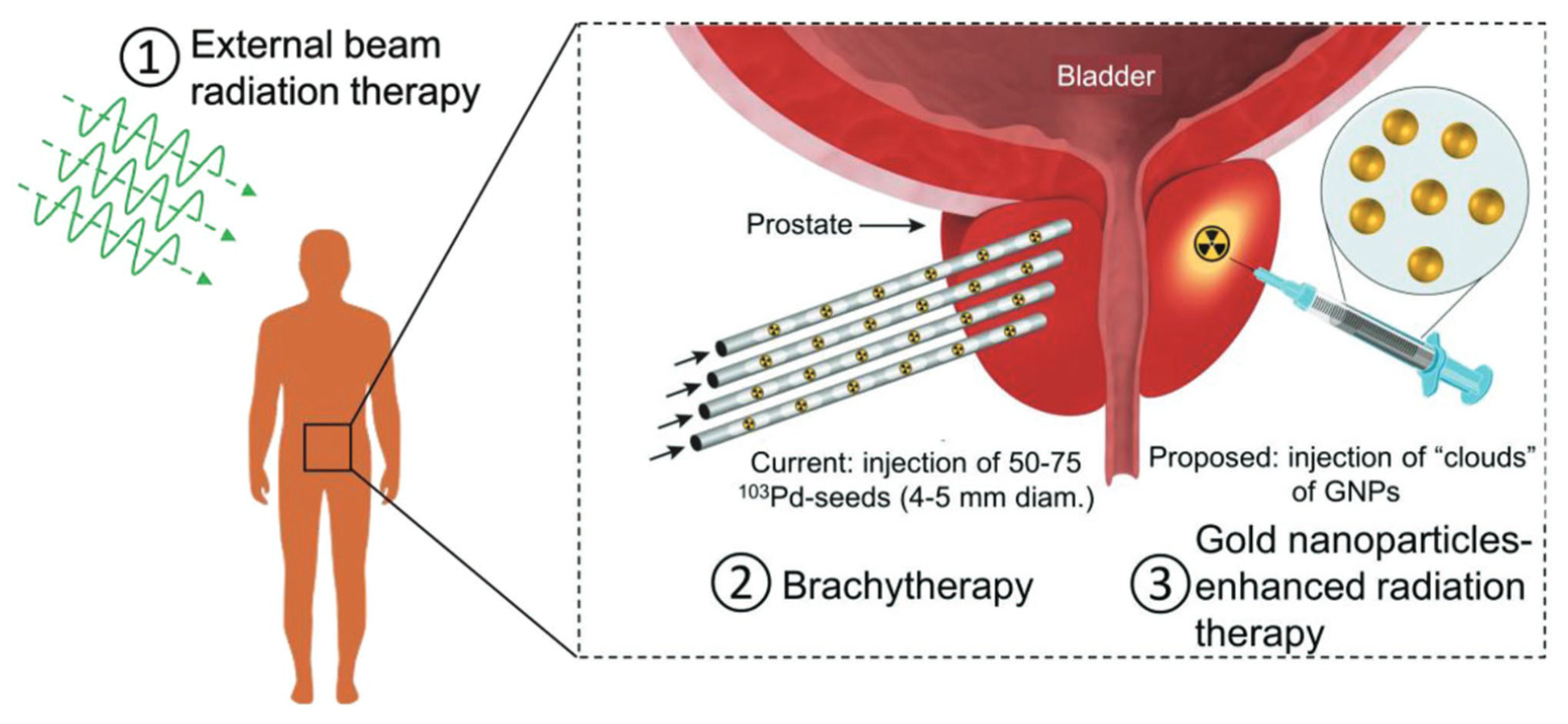 Pharmaceutics 15 00500 g007 Pharmaceutics 15 00500 g007