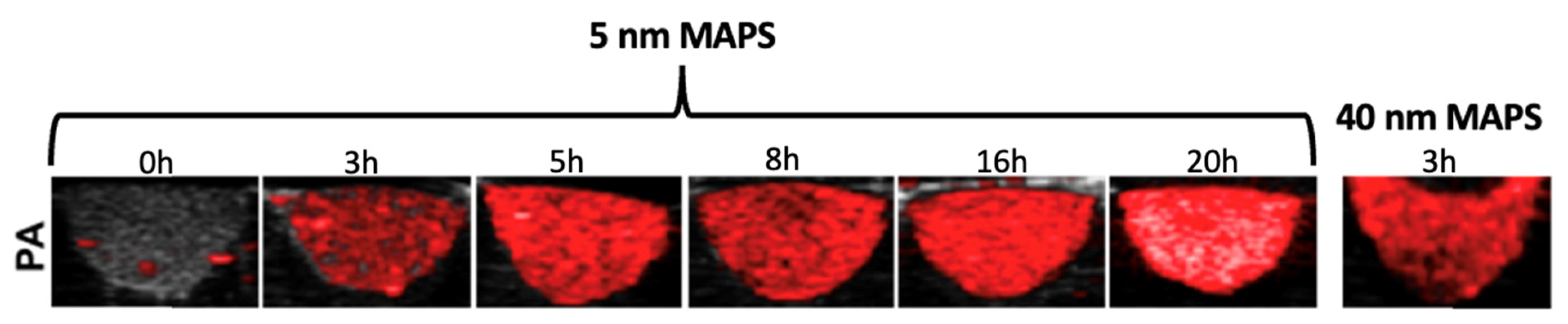 Pharmaceutics 15 00500 g010 Pharmaceutics 15 00500 g010