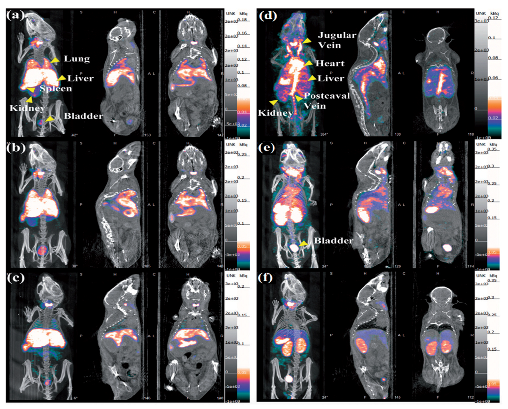 Pharmaceutics 15 00500 g012 Pharmaceutics 15 00500 g012