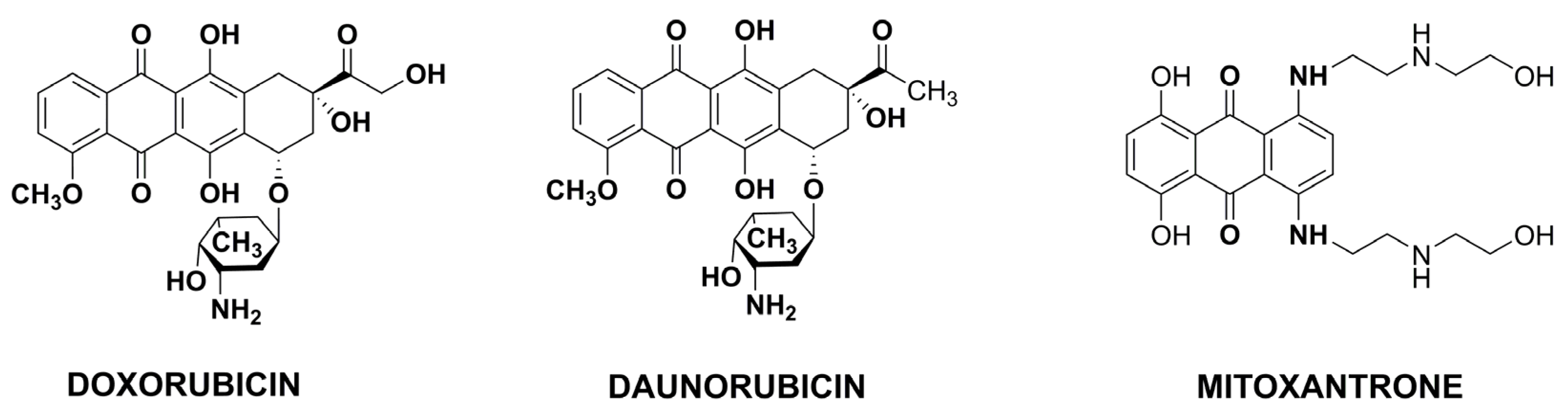 Pharmaceutics 15 00503 g004