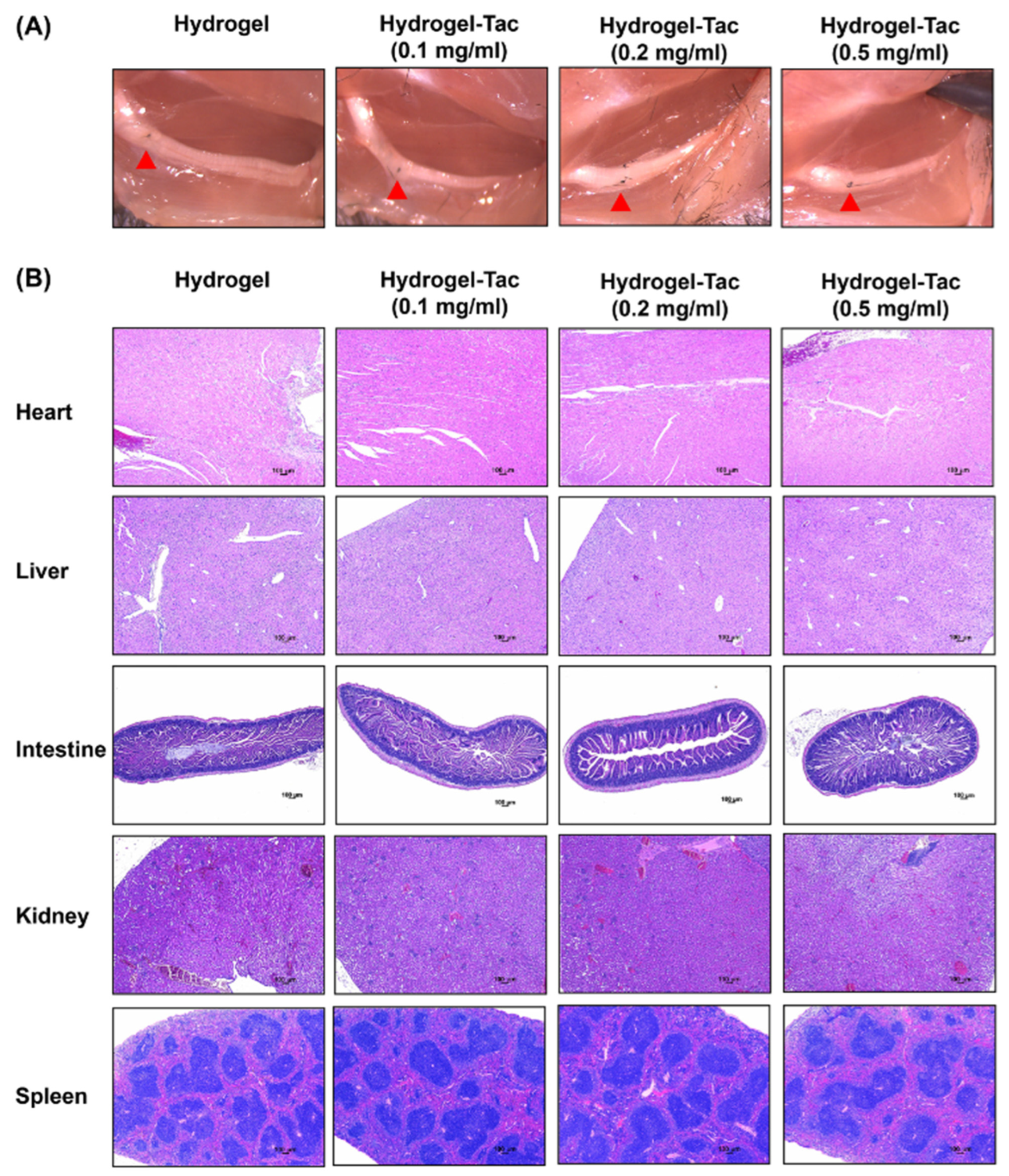 Pharmaceutics 15 00508 g007