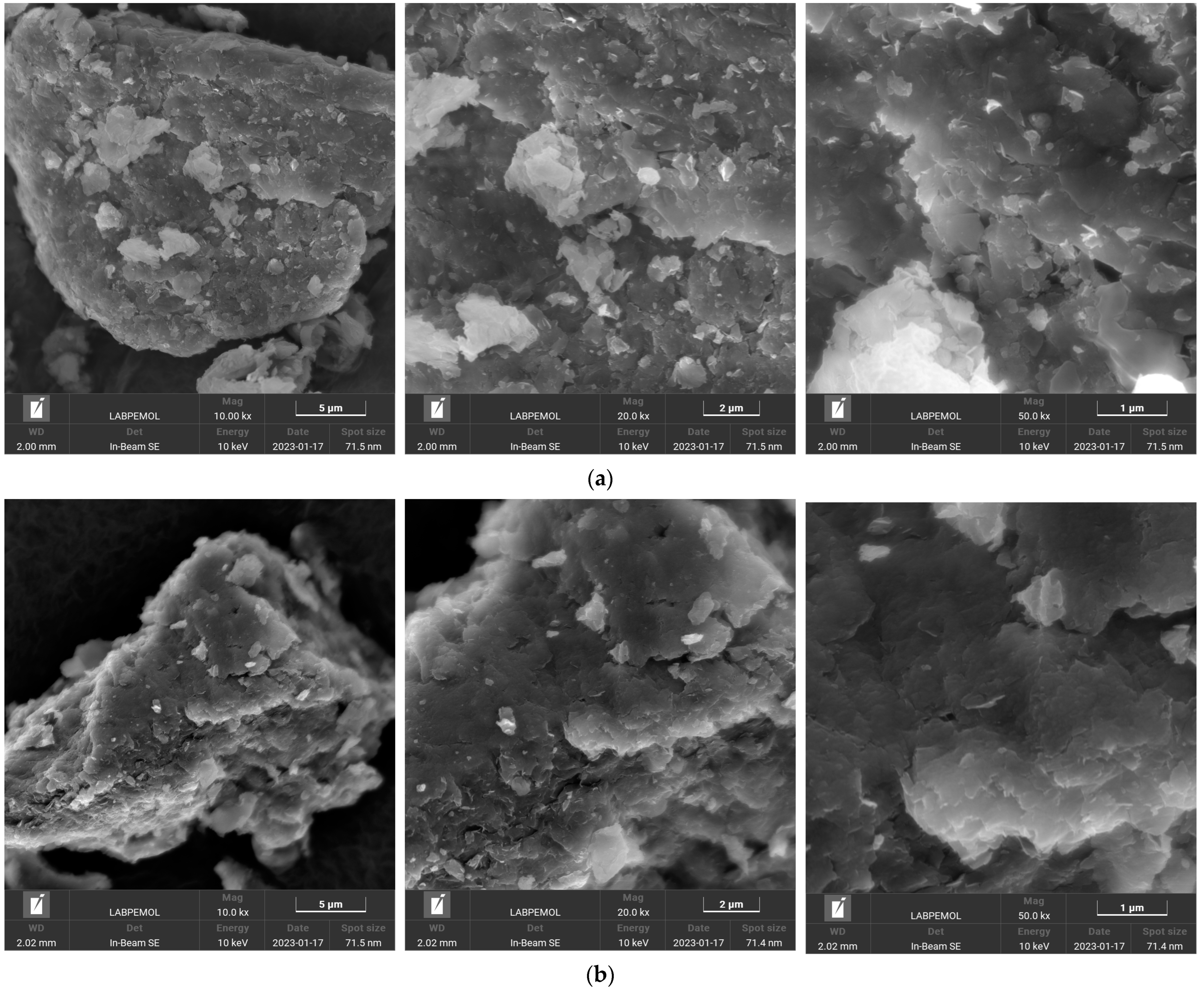 Pharmaceutics 15 00512 g007 Pharmaceutics 15 00512 g007