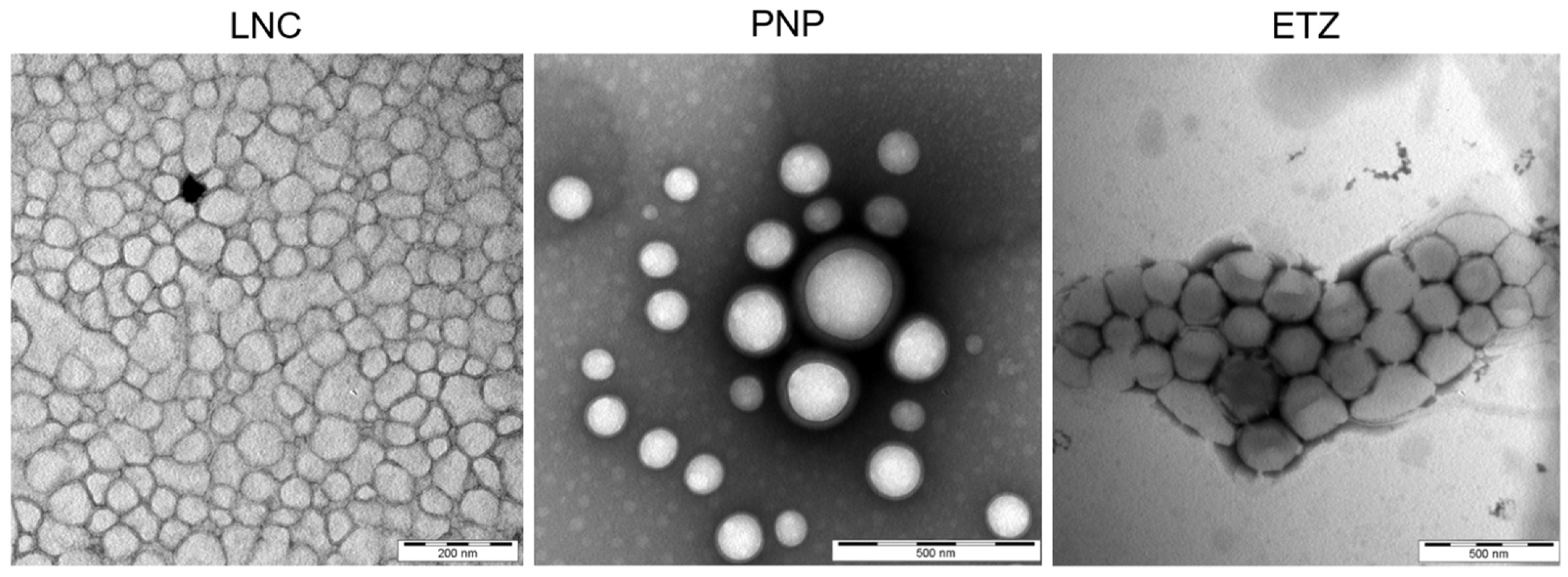 Pharmaceutics 15 00513 g003 Pharmaceutics 15 00513 g003