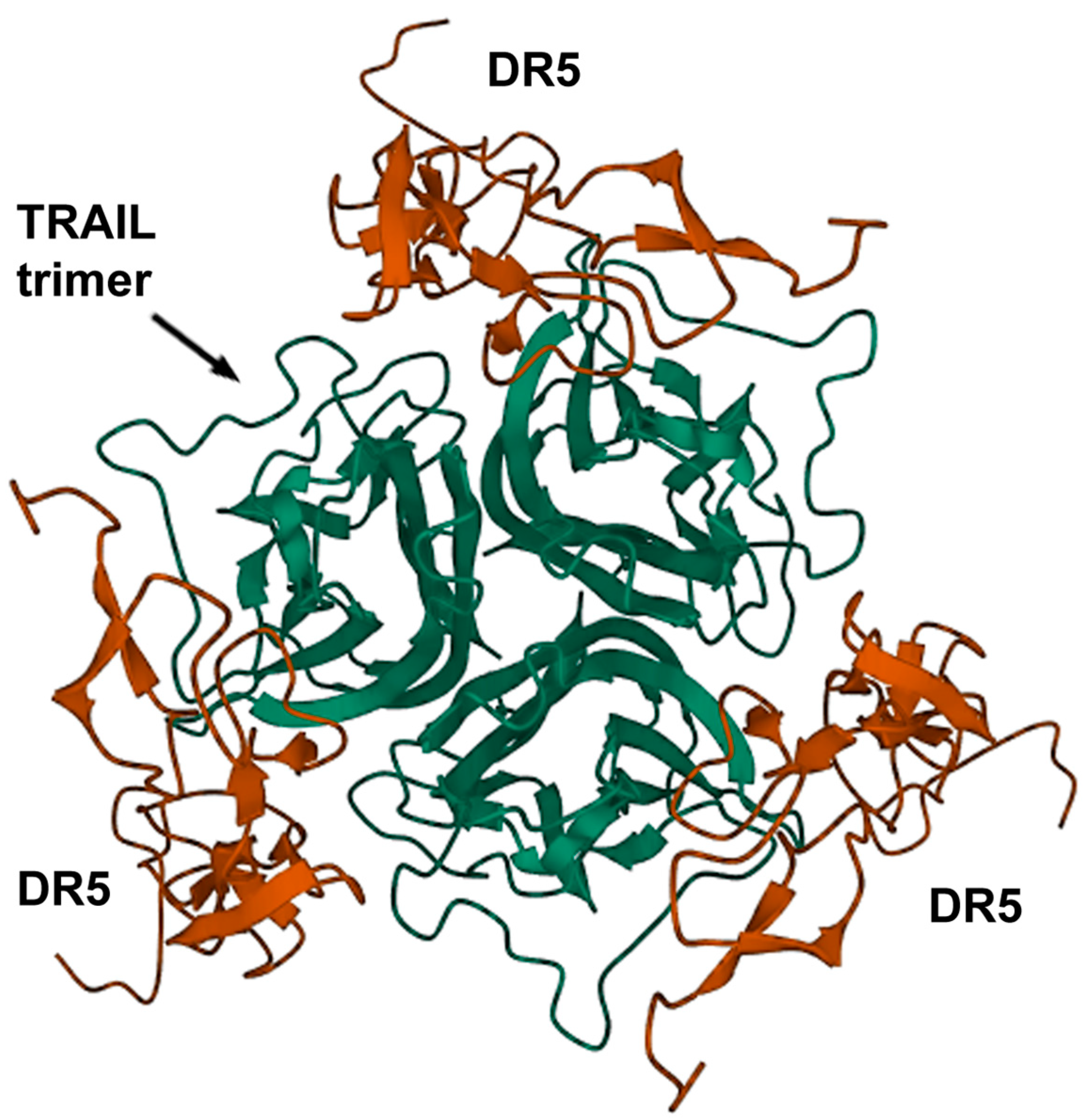 Pharmaceutics 15 00515 g001 Pharmaceutics 15 00515 g001