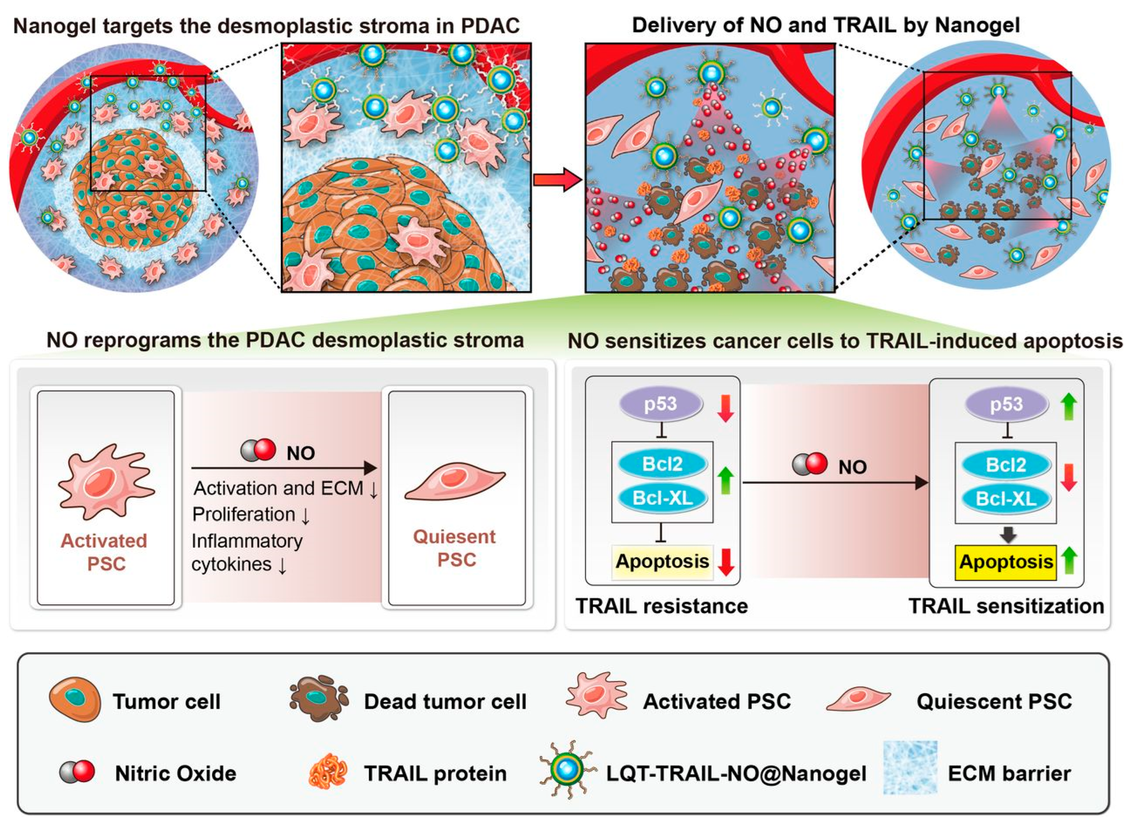 Pharmaceutics 15 00515 g003 Pharmaceutics 15 00515 g003