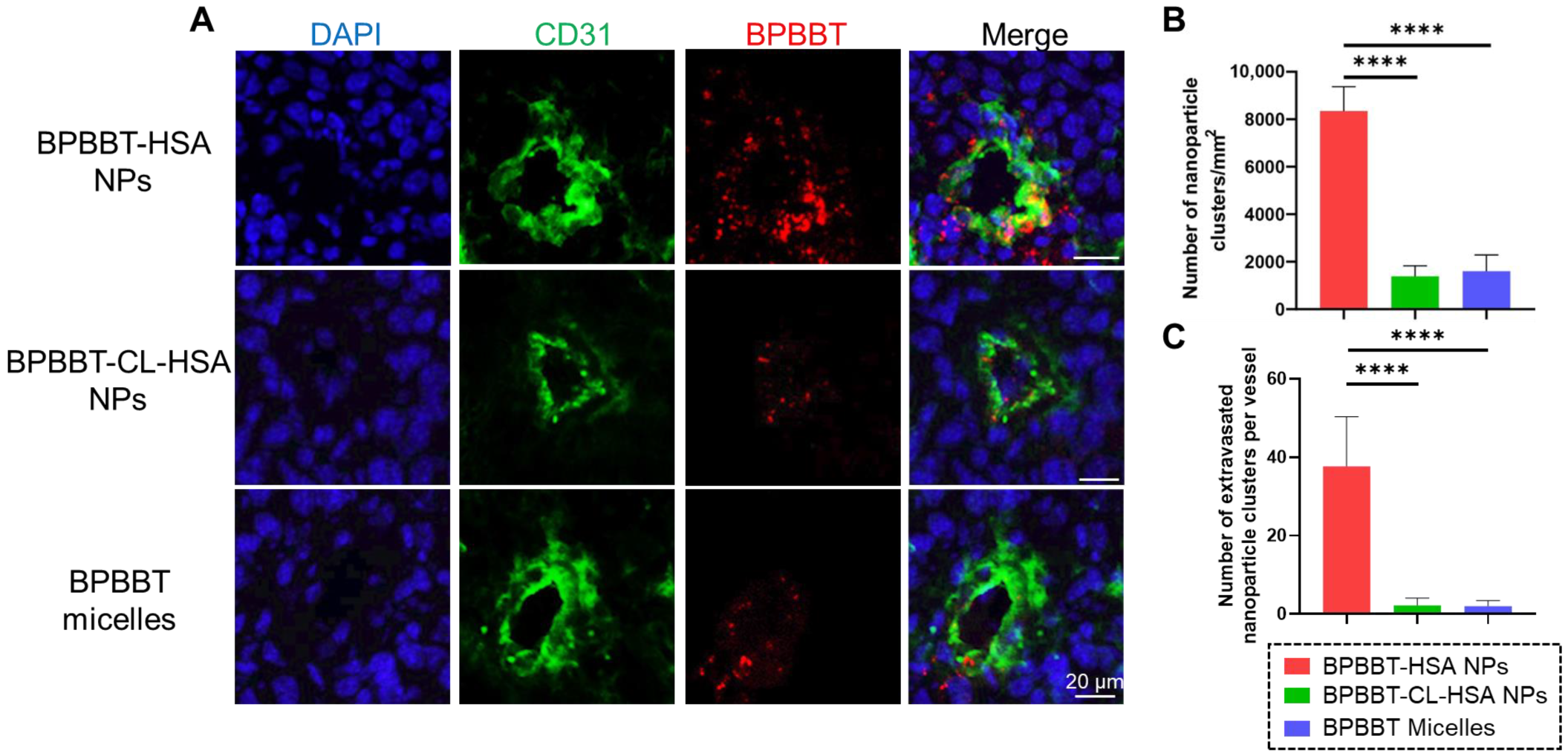 Pharmaceutics 15 00519 g005 Pharmaceutics 15 00519 g005