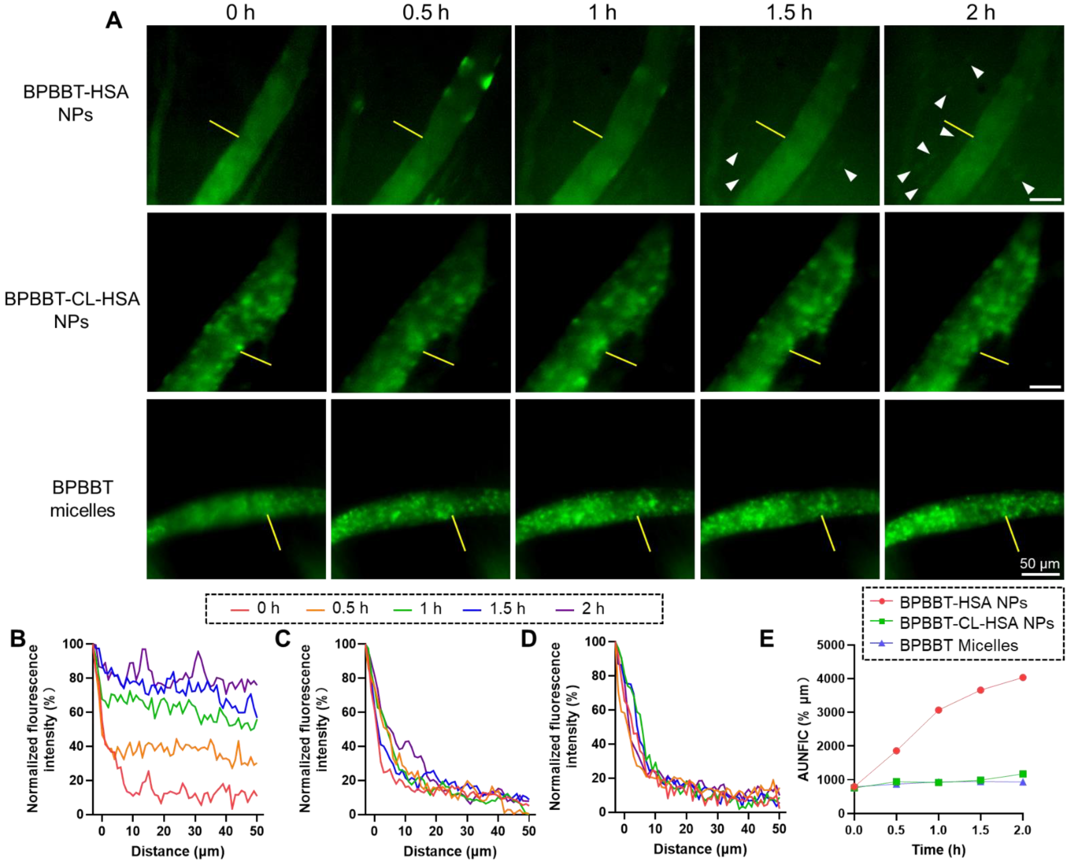 Pharmaceutics 15 00519 g006 Pharmaceutics 15 00519 g006
