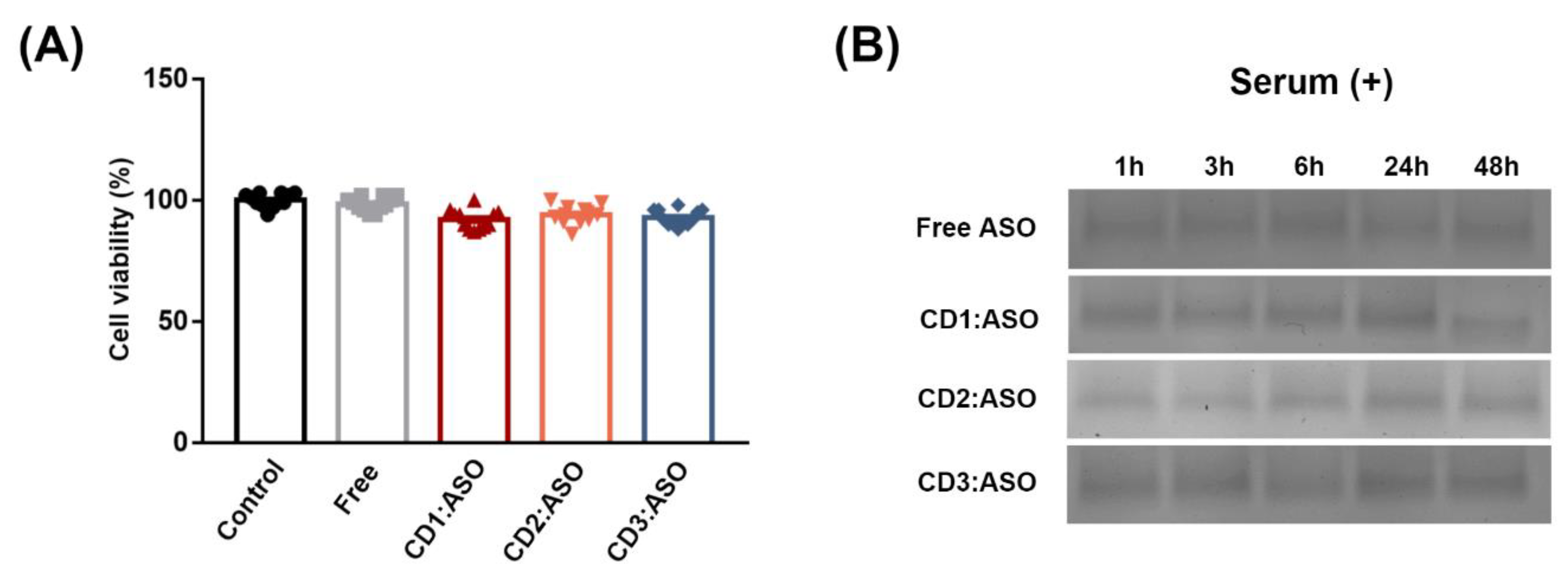 Pharmaceutics 15 00520 g002