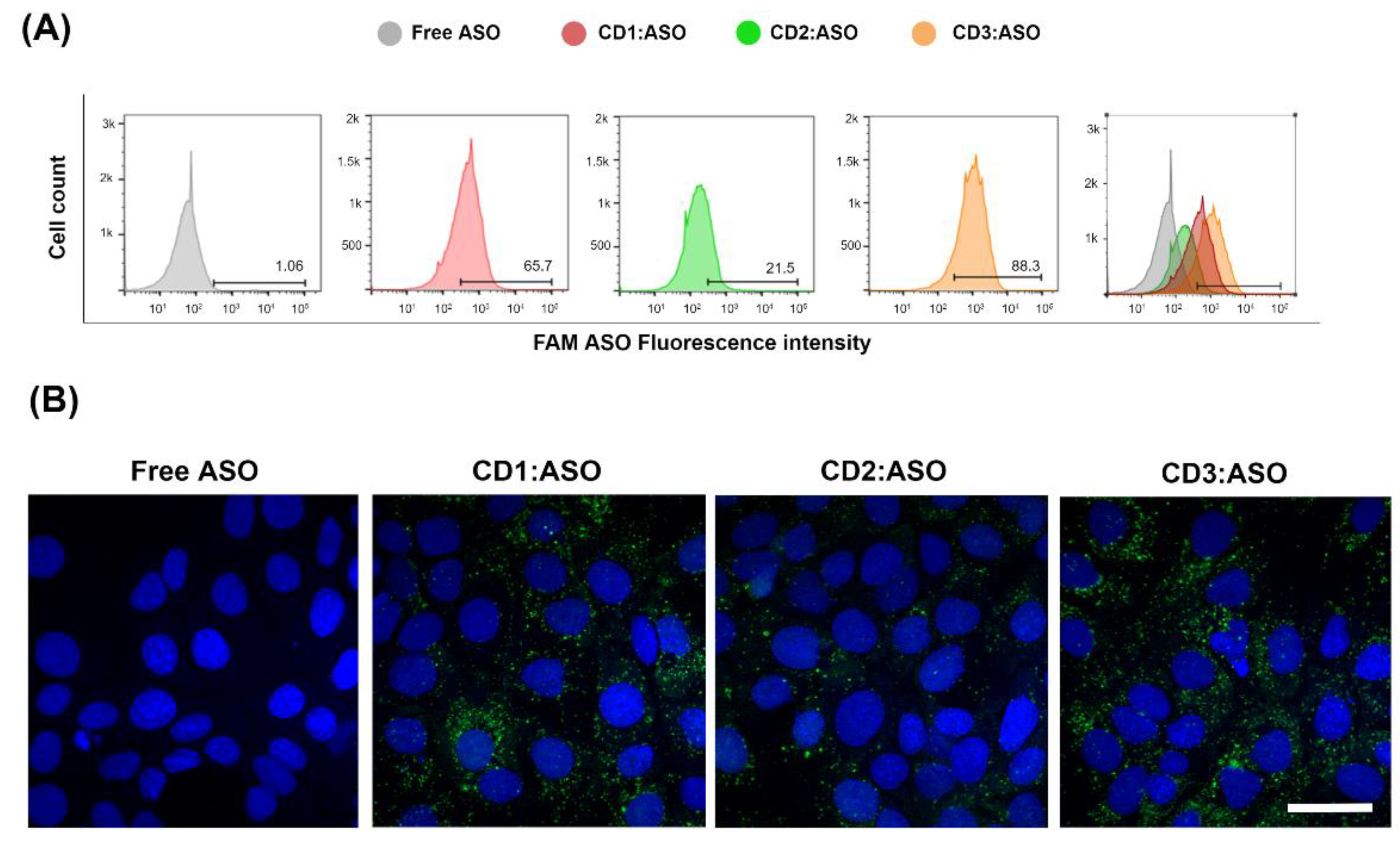 Pharmaceutics 15 00520 g003