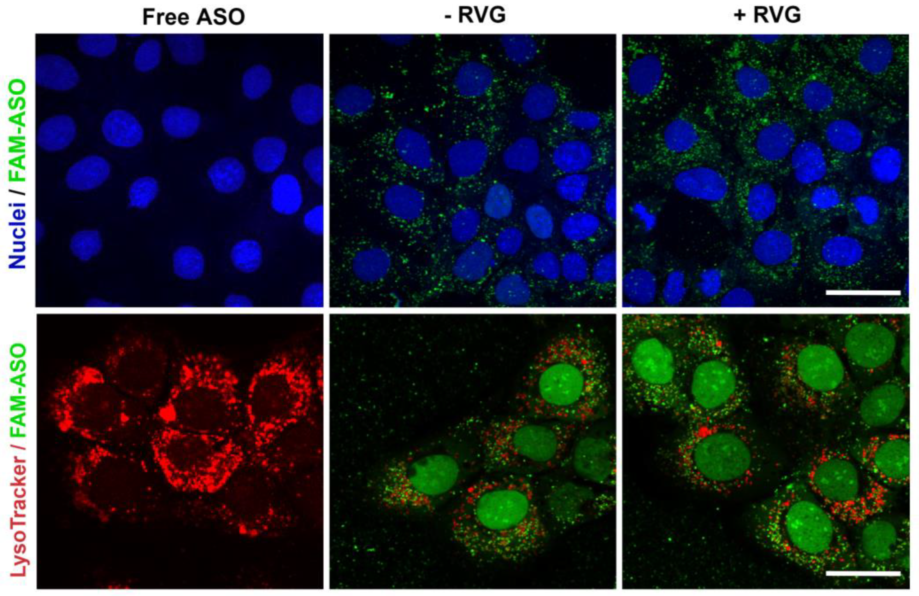 Pharmaceutics 15 00520 g006