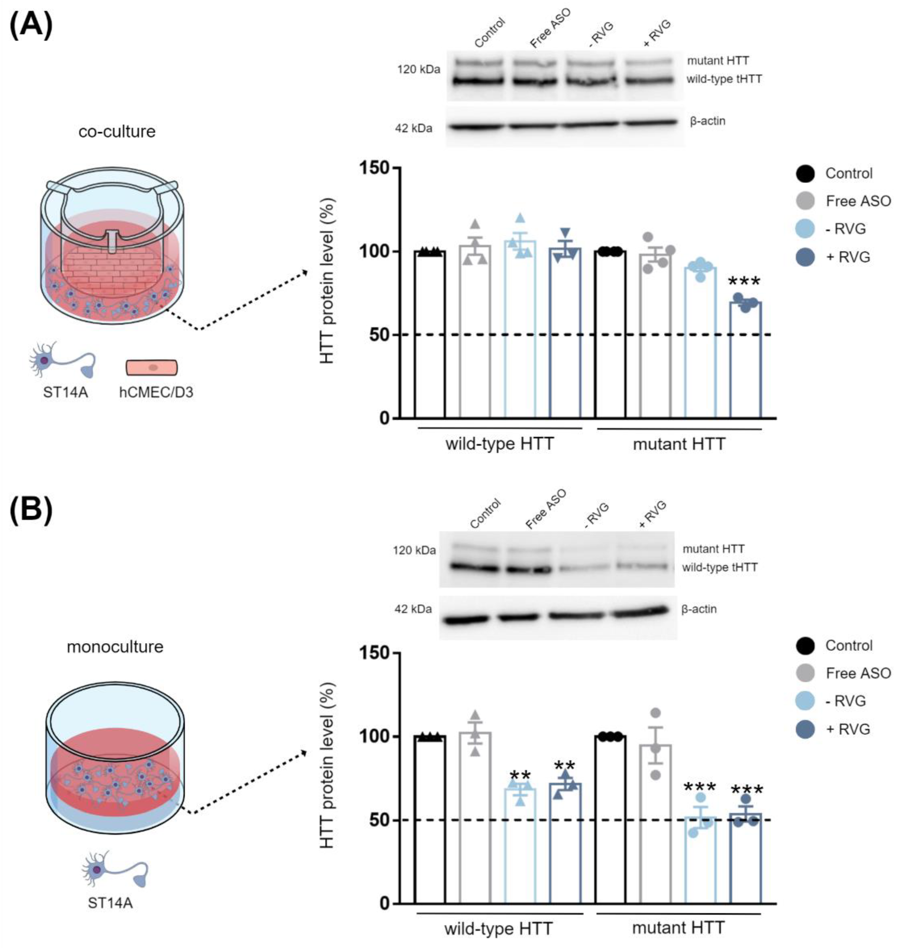 Pharmaceutics 15 00520 g007