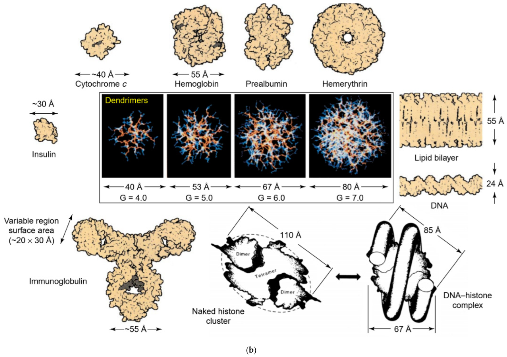 Pharmaceutics 15 00524 g002b Pharmaceutics 15 00524 g002b