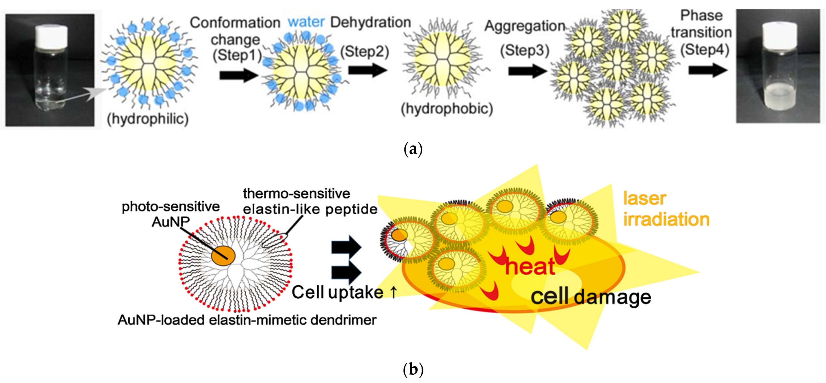 Pharmaceutics 15 00524 g005 Pharmaceutics 15 00524 g005
