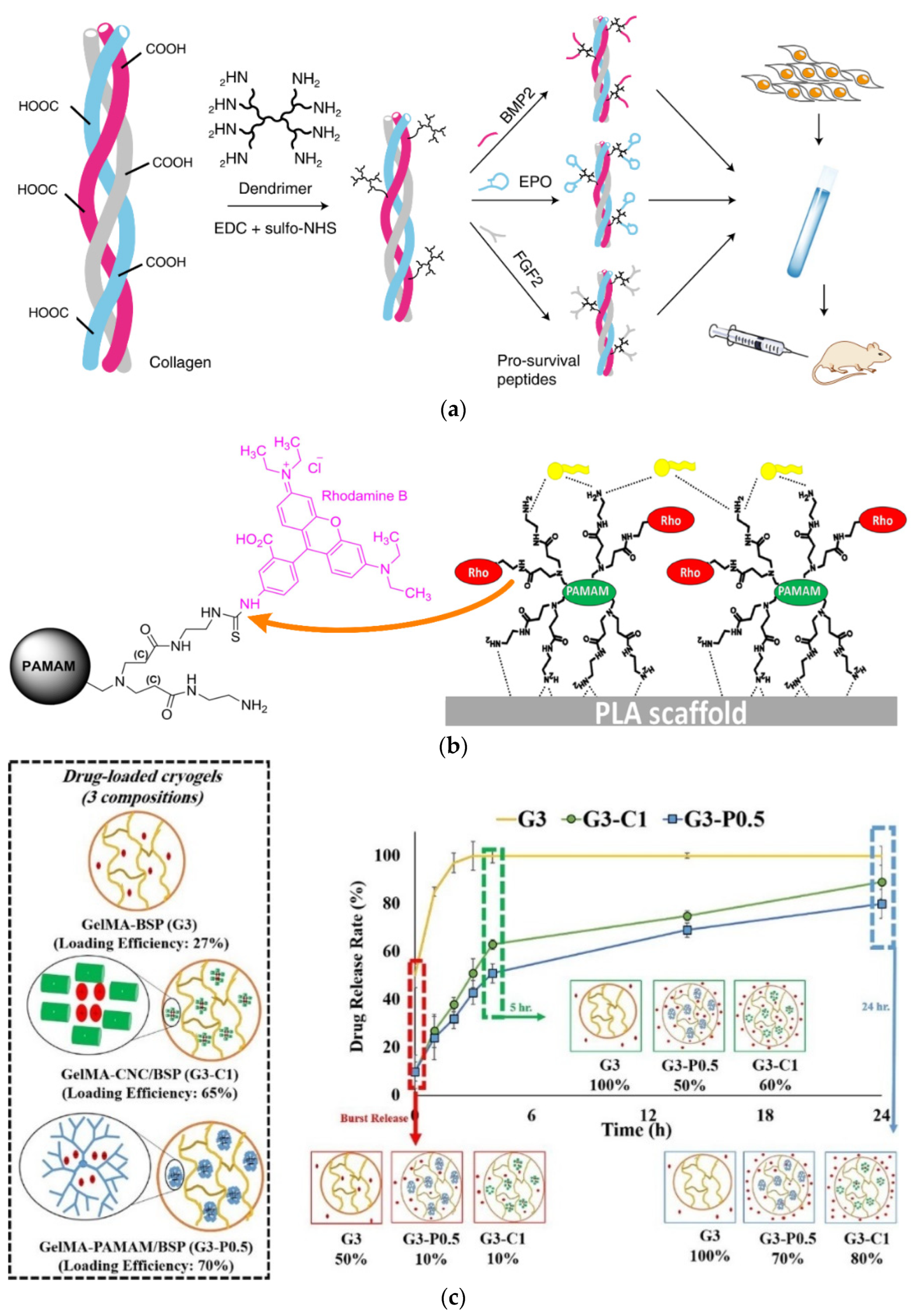Pharmaceutics 15 00524 g006 Pharmaceutics 15 00524 g006