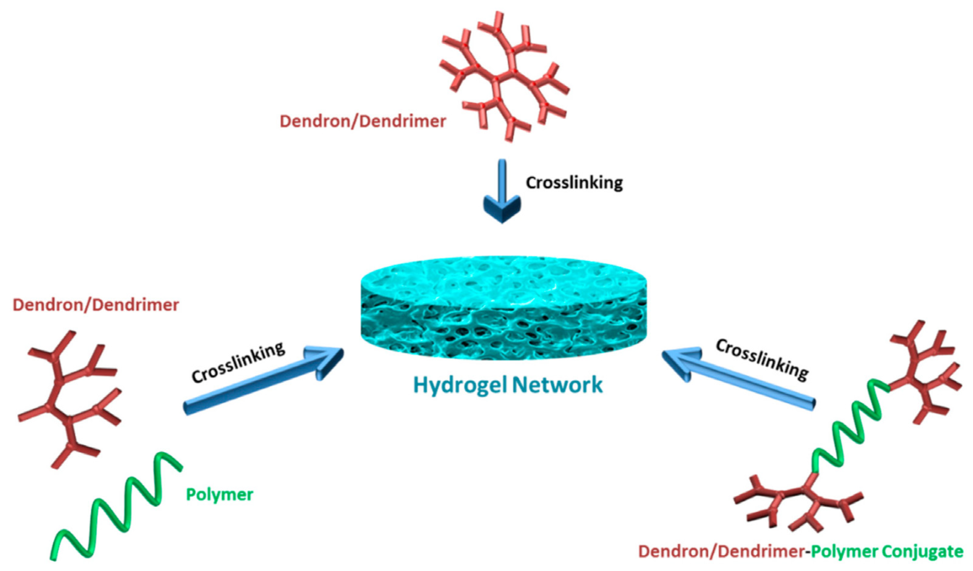 Pharmaceutics 15 00524 g007 Pharmaceutics 15 00524 g007