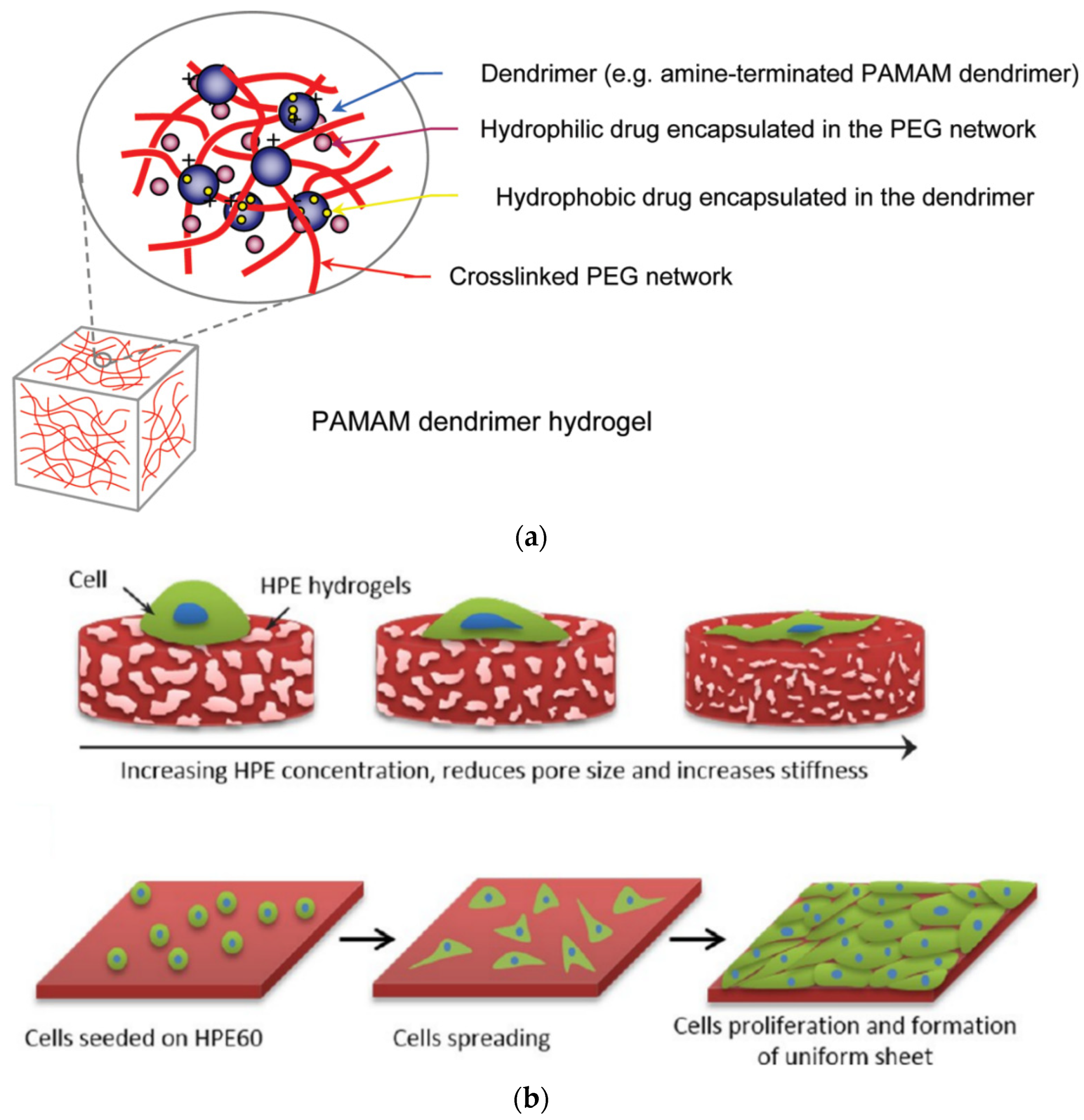 Pharmaceutics 15 00524 g008 Pharmaceutics 15 00524 g008