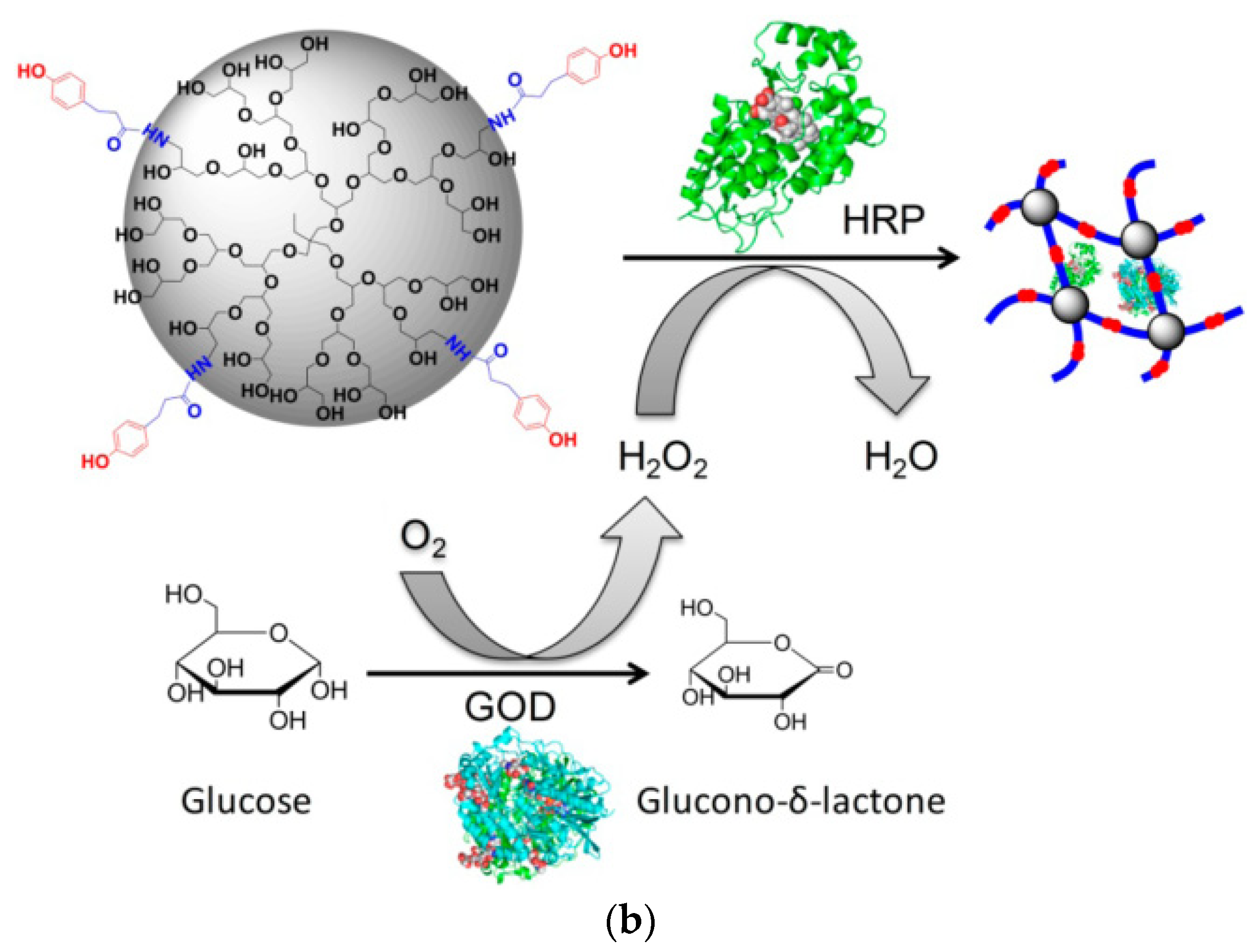 Pharmaceutics 15 00524 g009b Pharmaceutics 15 00524 g009b