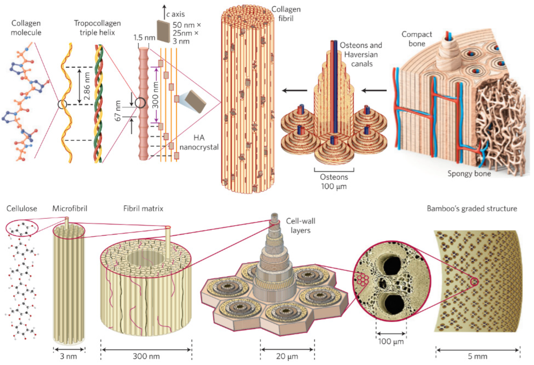 Pharmaceutics 15 00524 g011 Pharmaceutics 15 00524 g011