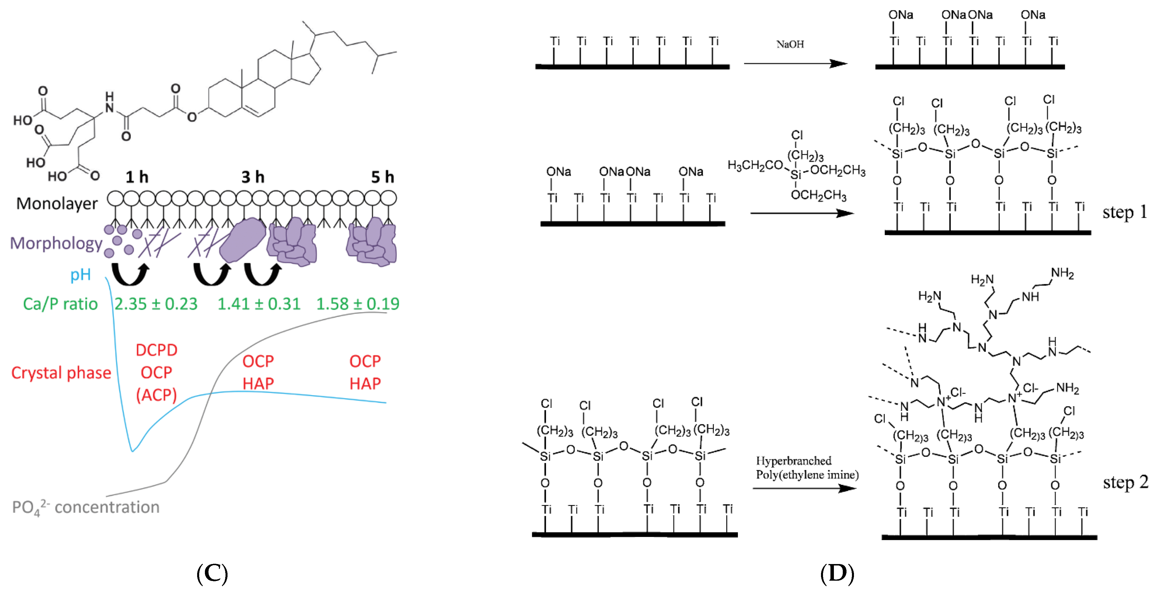 Pharmaceutics 15 00524 g012b Pharmaceutics 15 00524 g012b