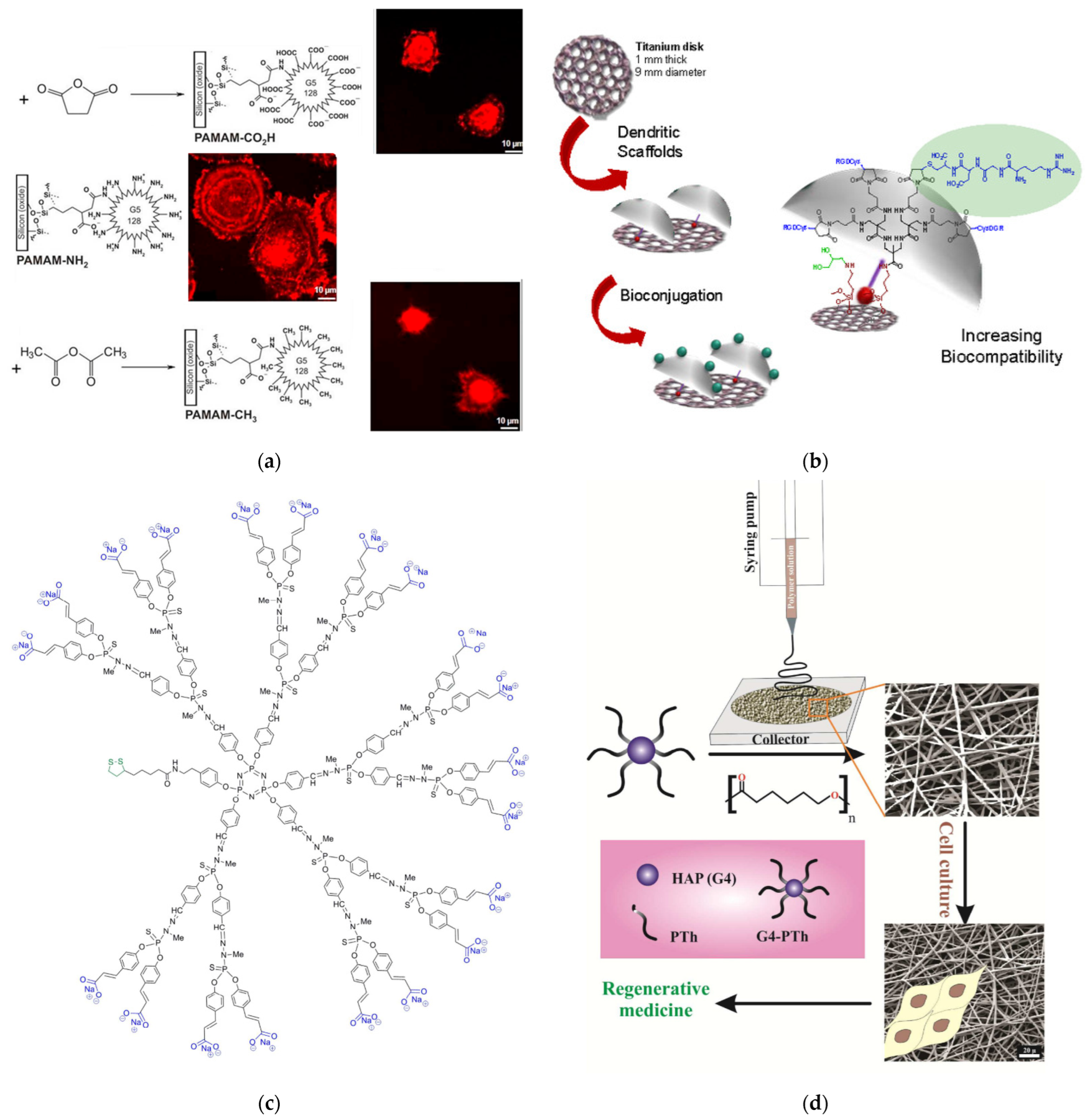 Pharmaceutics 15 00524 g015 Pharmaceutics 15 00524 g015