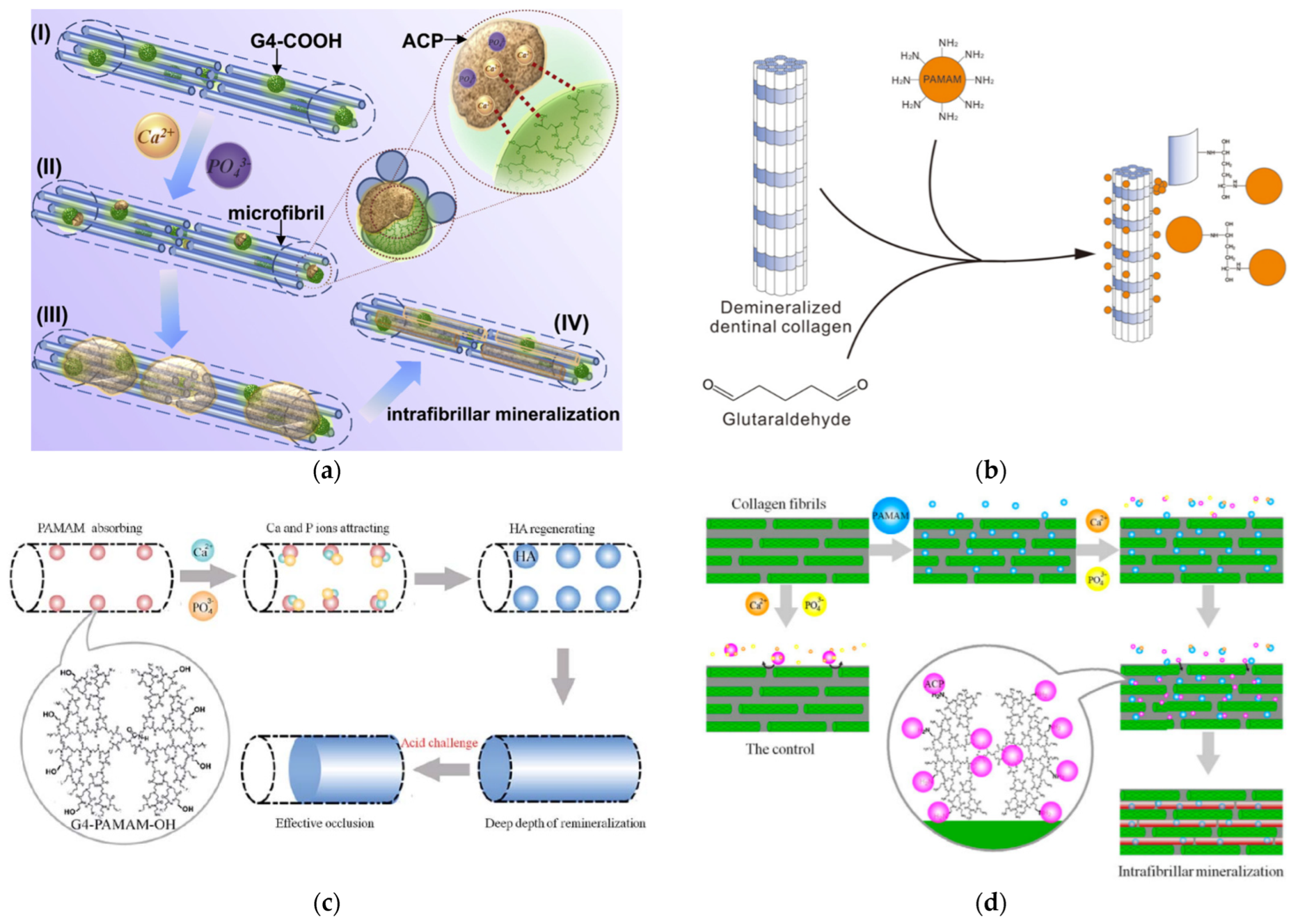 Pharmaceutics 15 00524 g021 Pharmaceutics 15 00524 g021