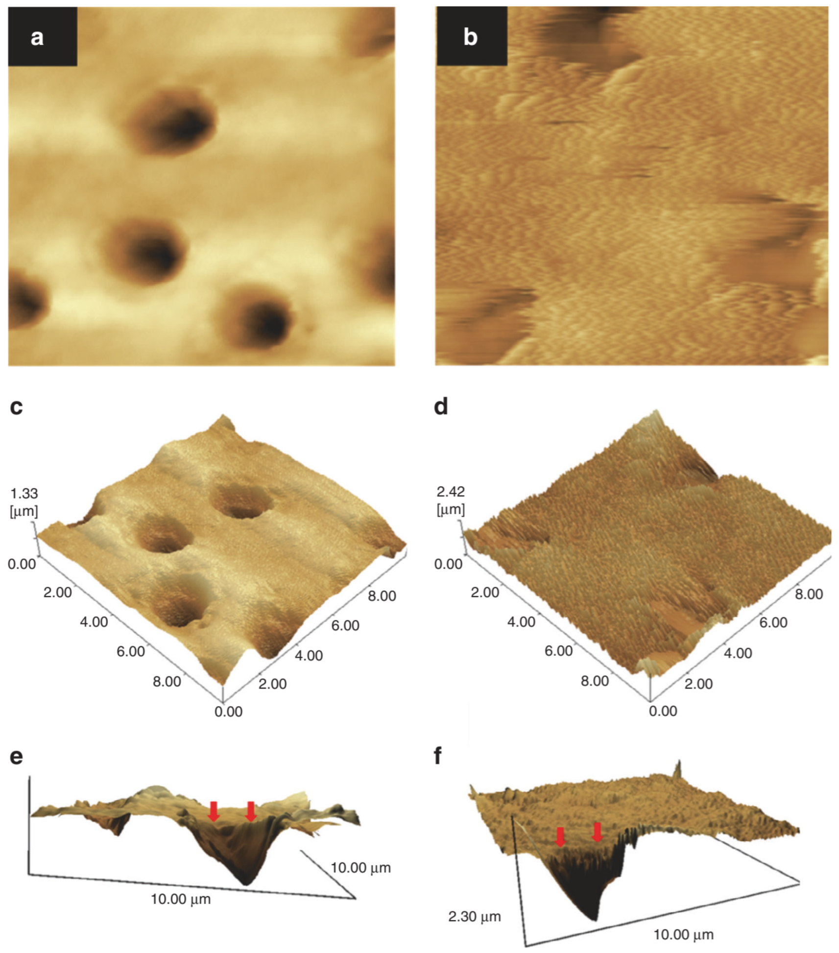 Pharmaceutics 15 00524 g022 Pharmaceutics 15 00524 g022