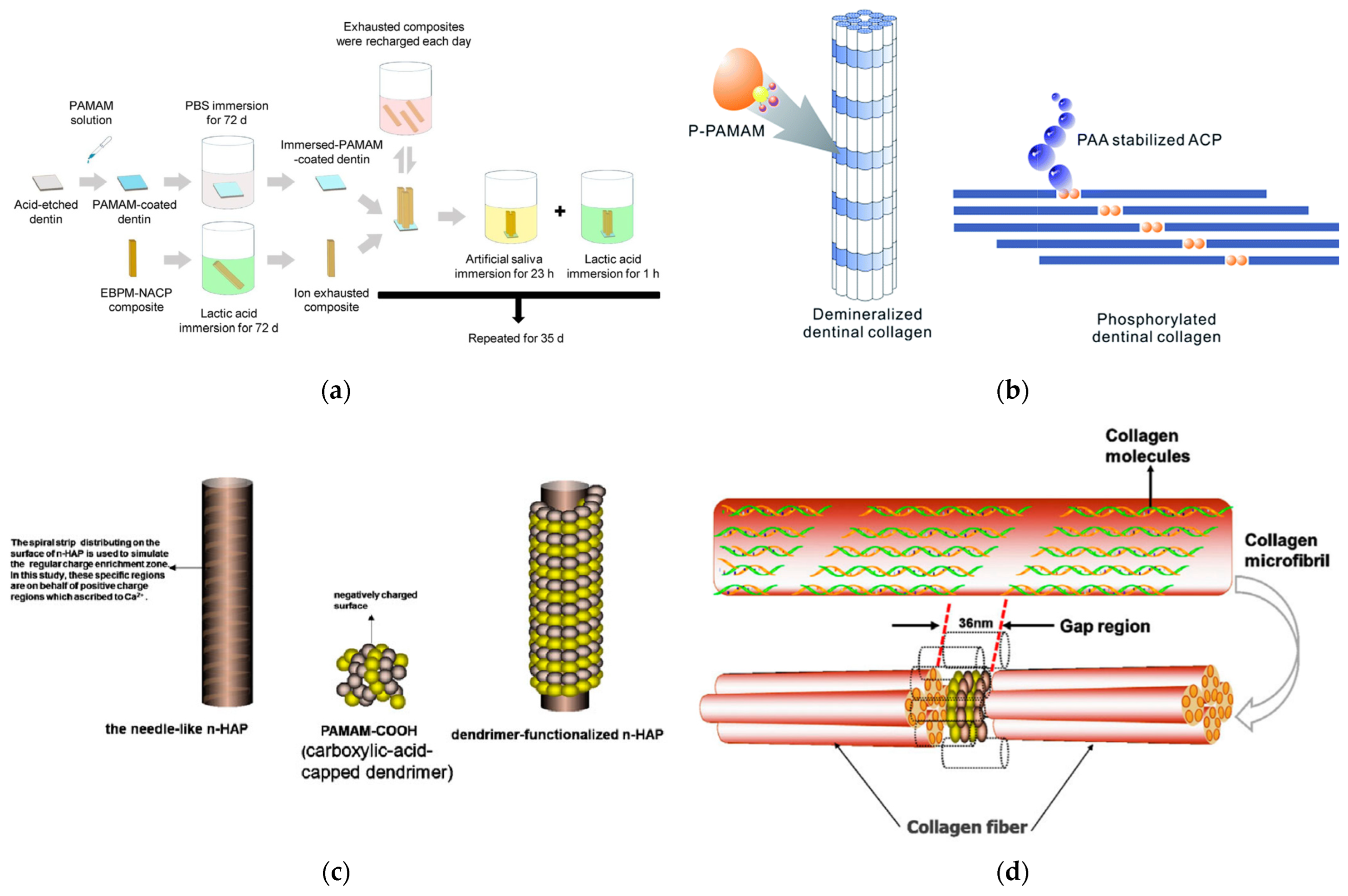 Pharmaceutics 15 00524 g023 Pharmaceutics 15 00524 g023