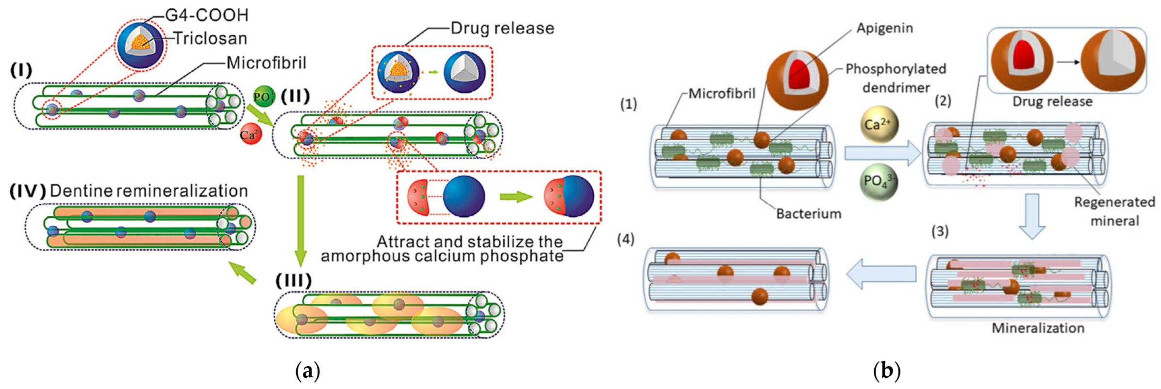 Pharmaceutics 15 00524 g024 Pharmaceutics 15 00524 g024