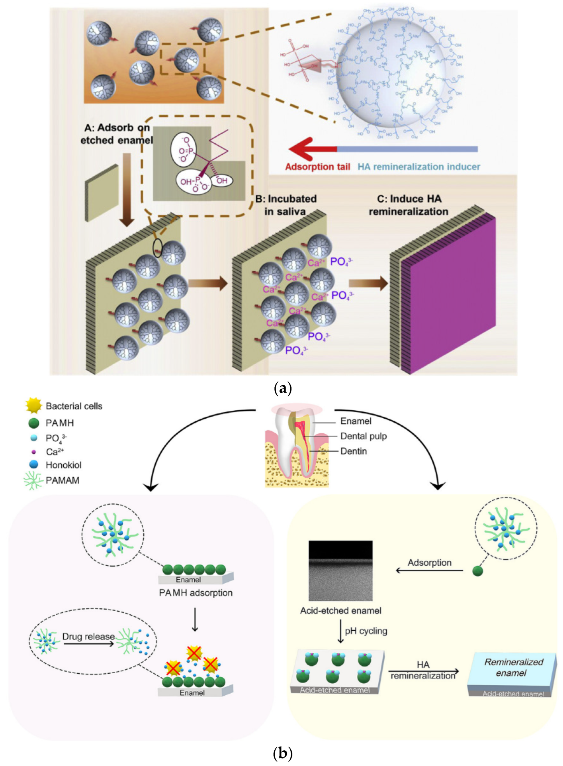 Pharmaceutics 15 00524 g026 Pharmaceutics 15 00524 g026