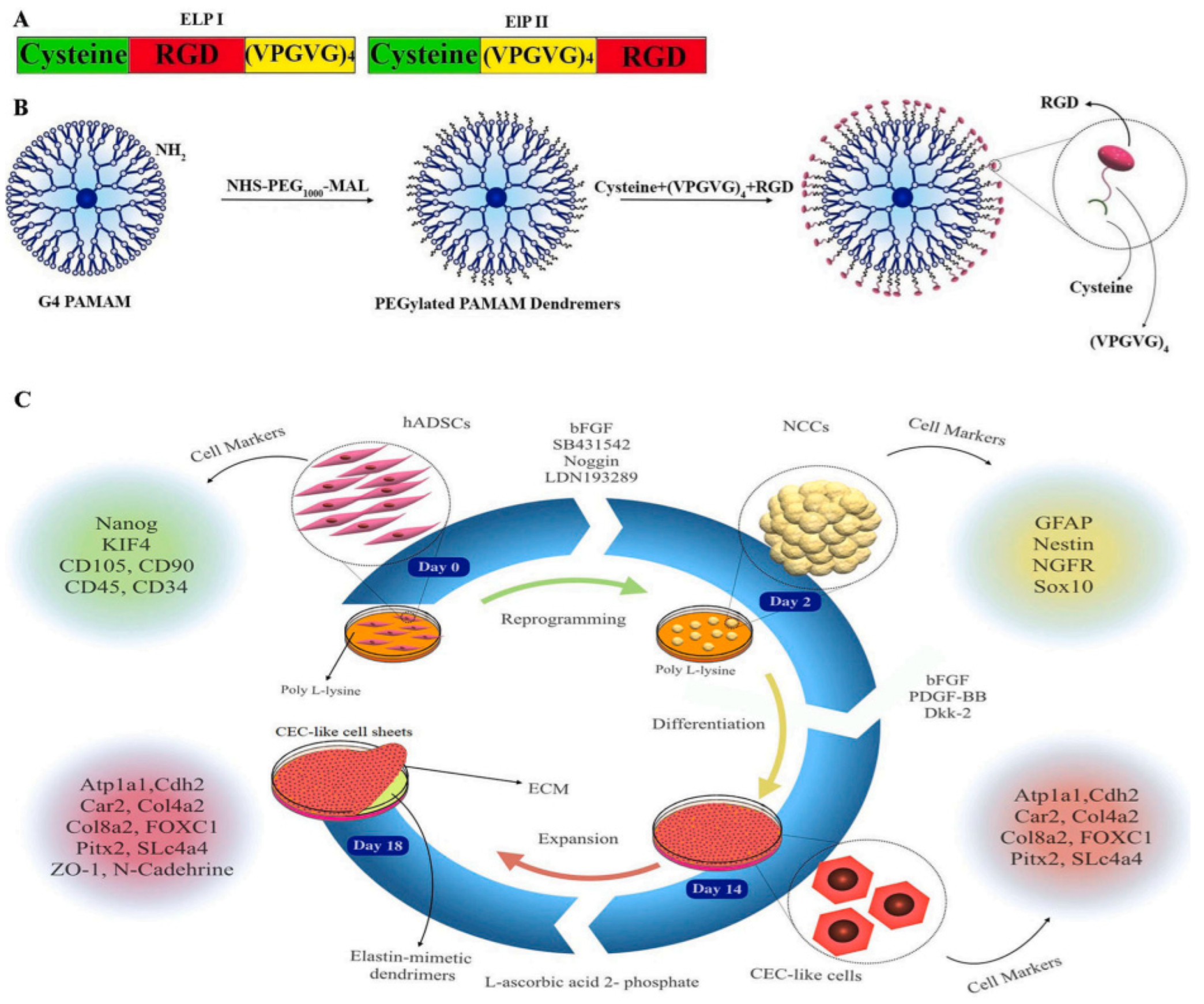 Pharmaceutics 15 00524 g028 Pharmaceutics 15 00524 g028