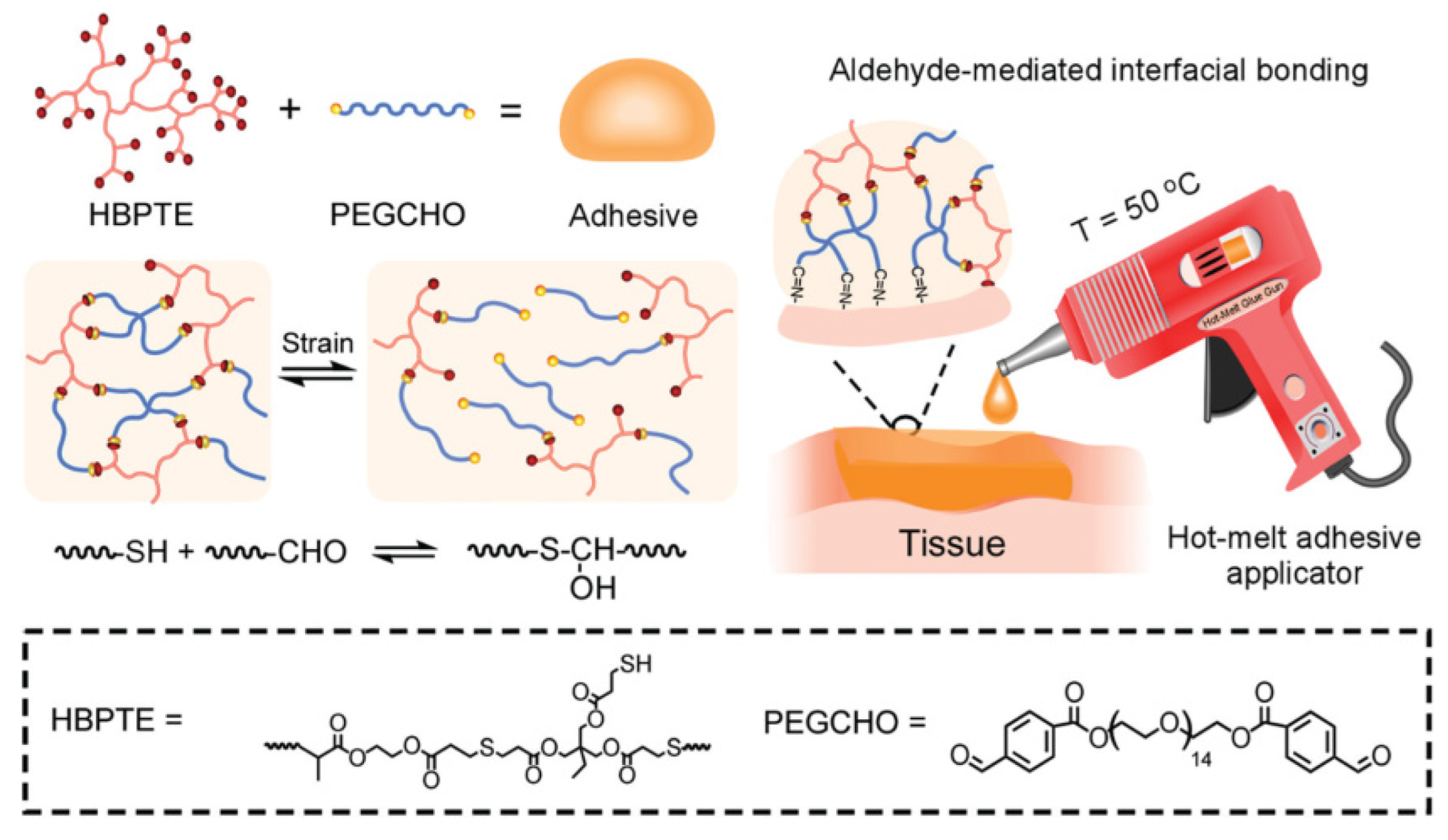 Pharmaceutics 15 00524 g029 Pharmaceutics 15 00524 g029
