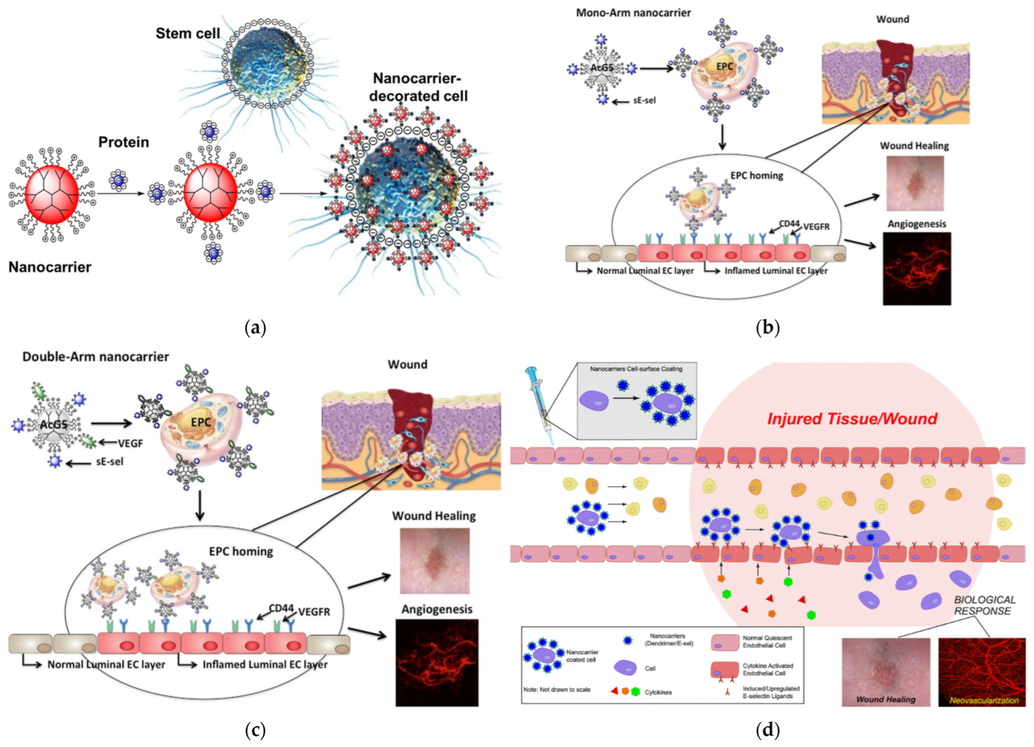 Pharmaceutics 15 00524 g031 Pharmaceutics 15 00524 g031