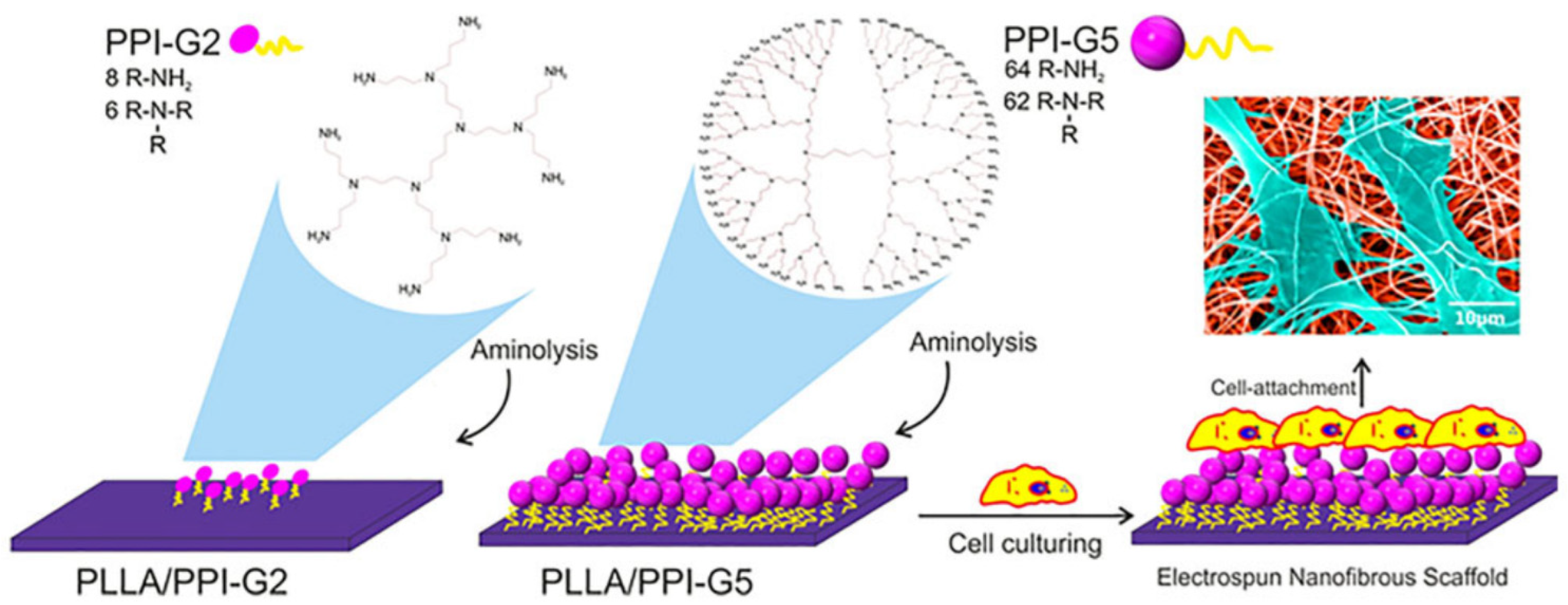 Pharmaceutics 15 00524 g032 Pharmaceutics 15 00524 g032