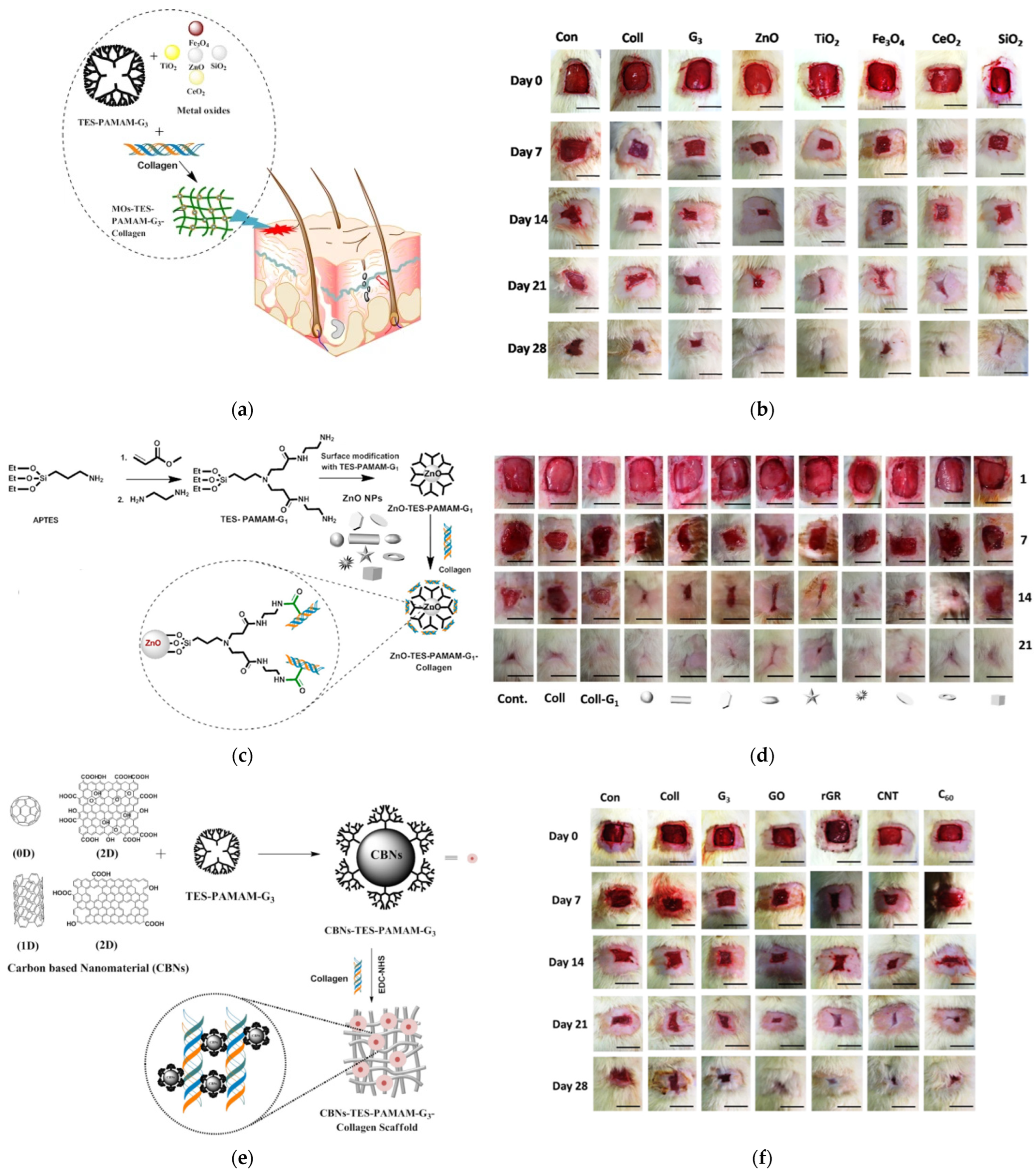 Pharmaceutics 15 00524 g033 Pharmaceutics 15 00524 g033