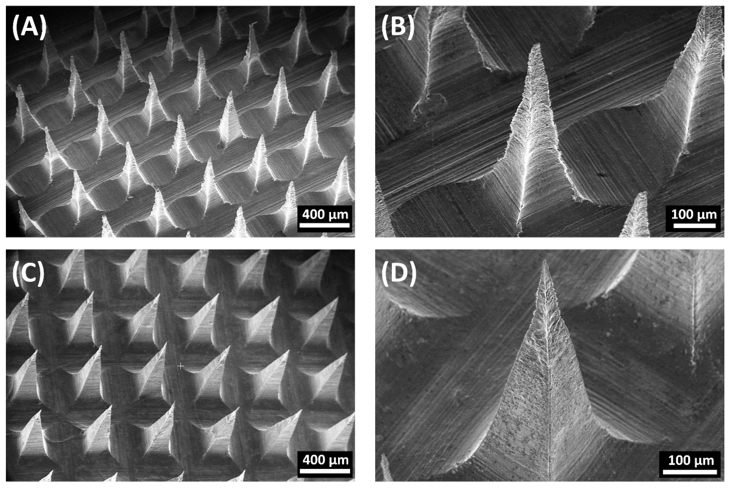Pharmaceutics 15 00526 g006 Pharmaceutics 15 00526 g006