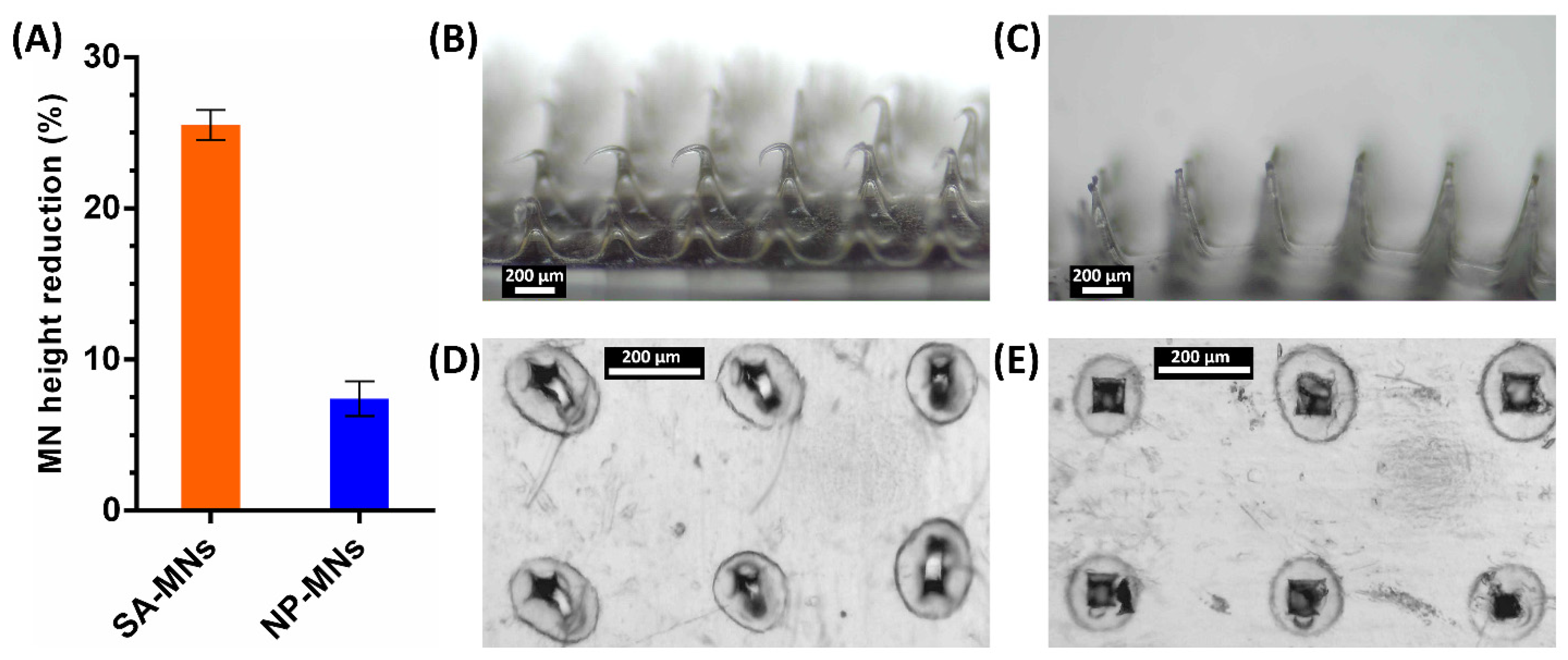 Pharmaceutics 15 00526 g007 Pharmaceutics 15 00526 g007