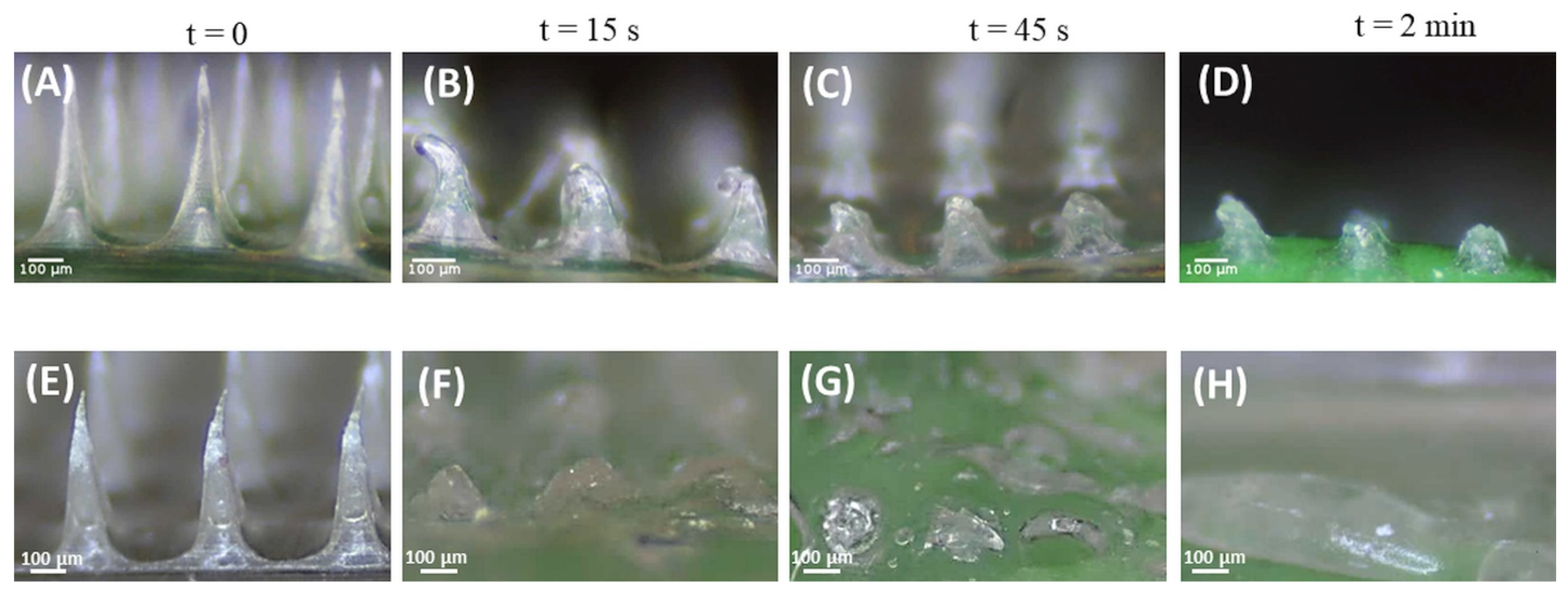 Pharmaceutics 15 00526 g009 Pharmaceutics 15 00526 g009